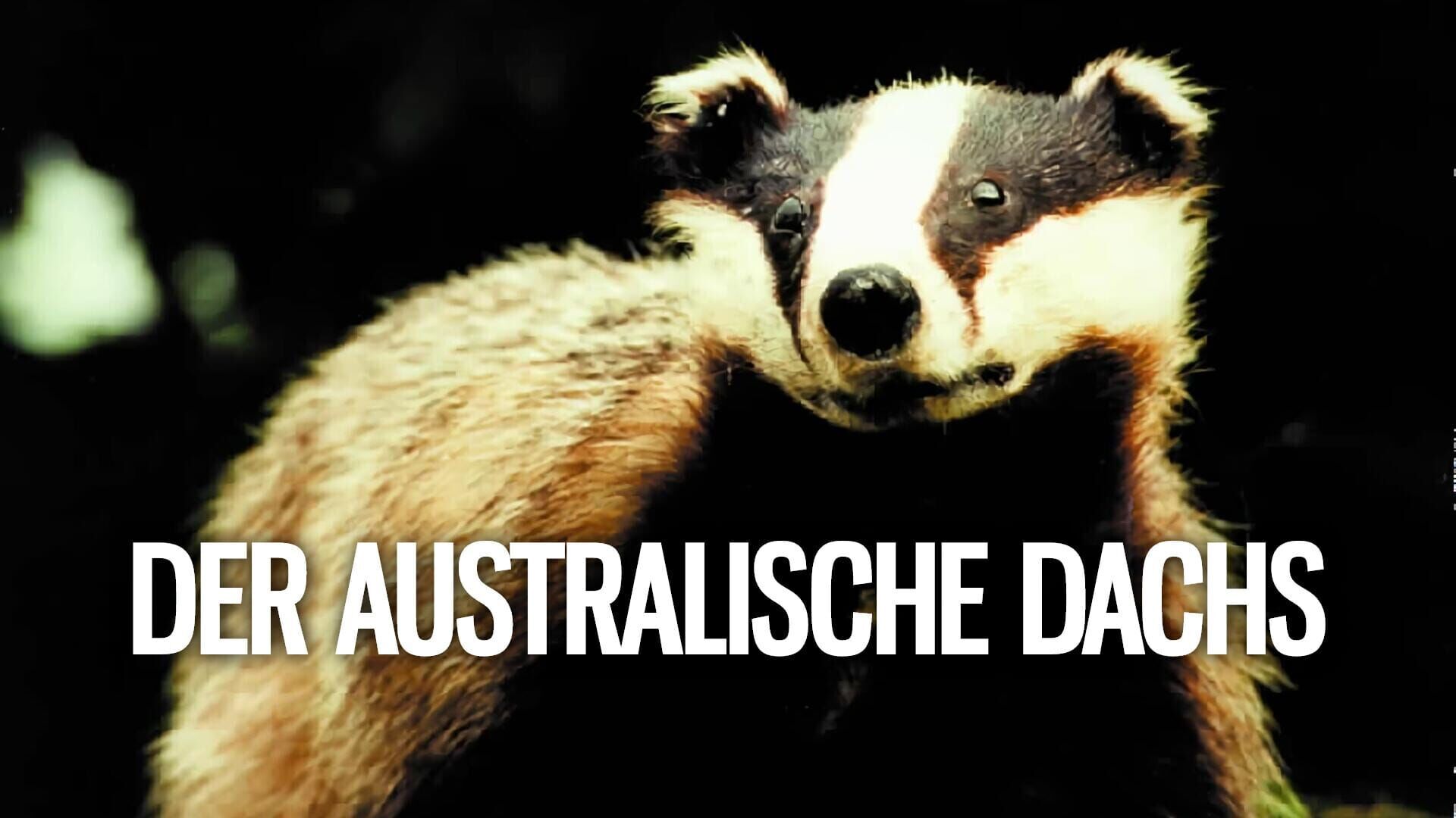 Welt der Tiere