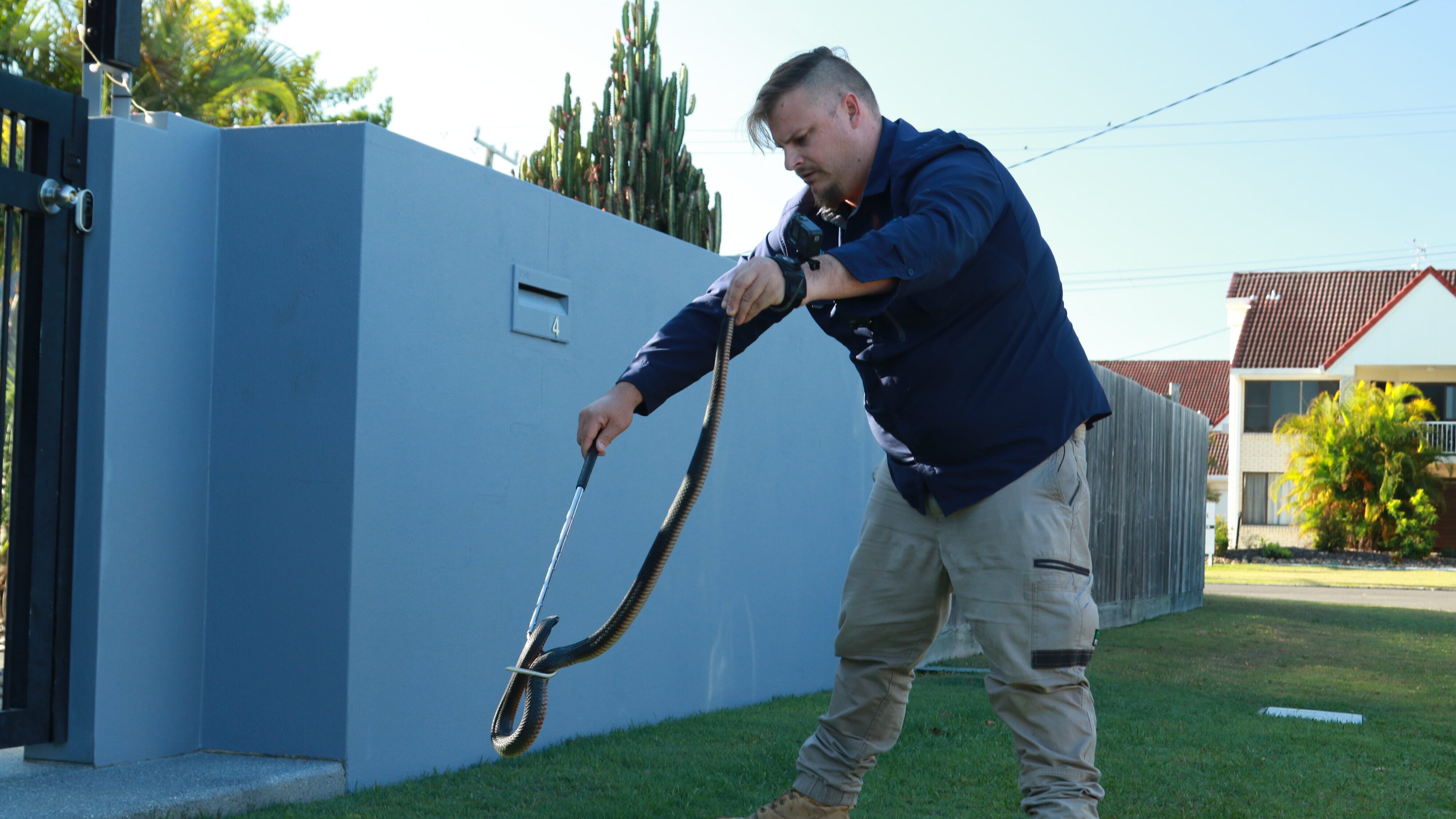 Snake Security – Schlangenalarm in Australien