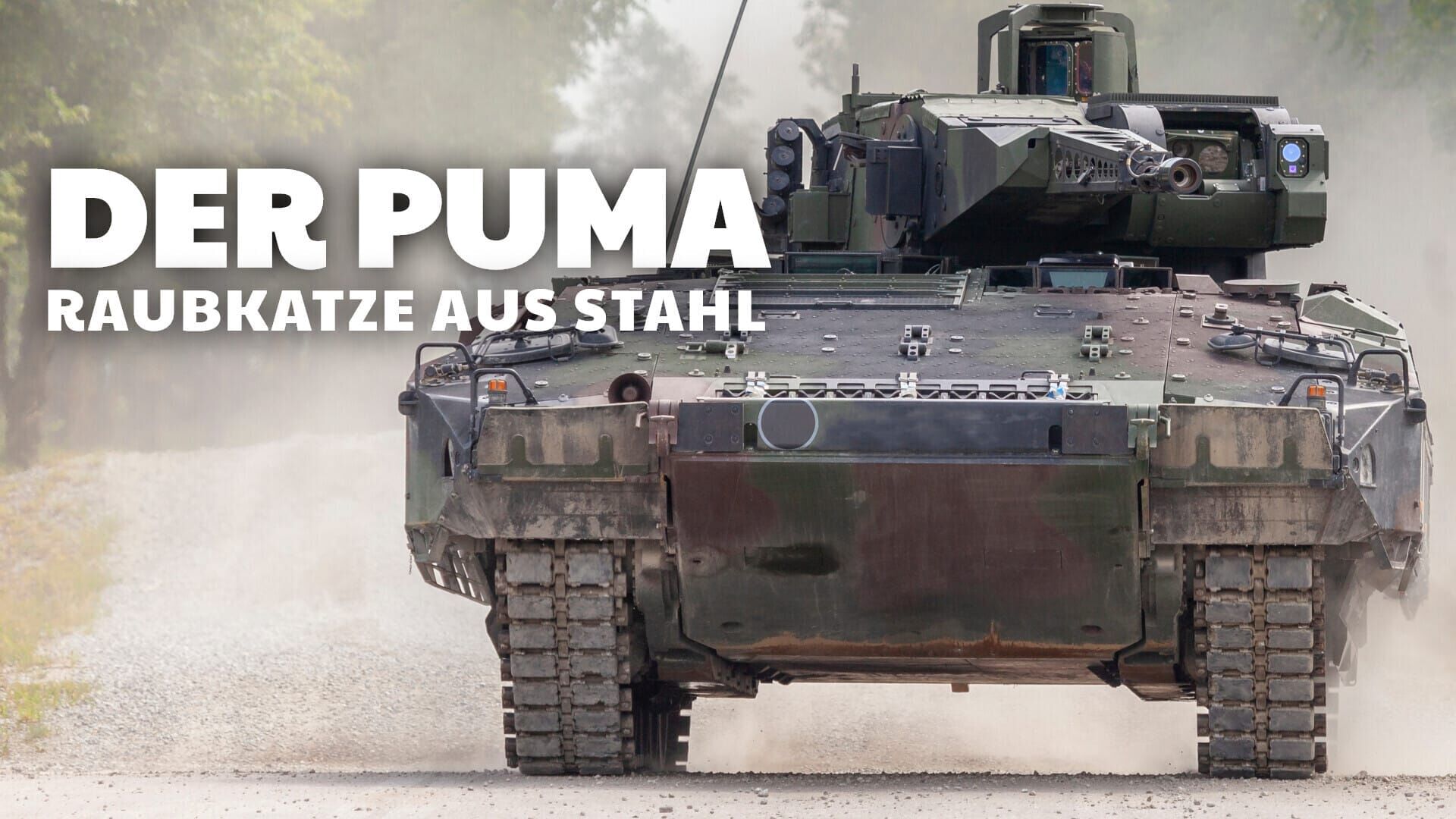 Der Puma – Raubkatze aus Stahl