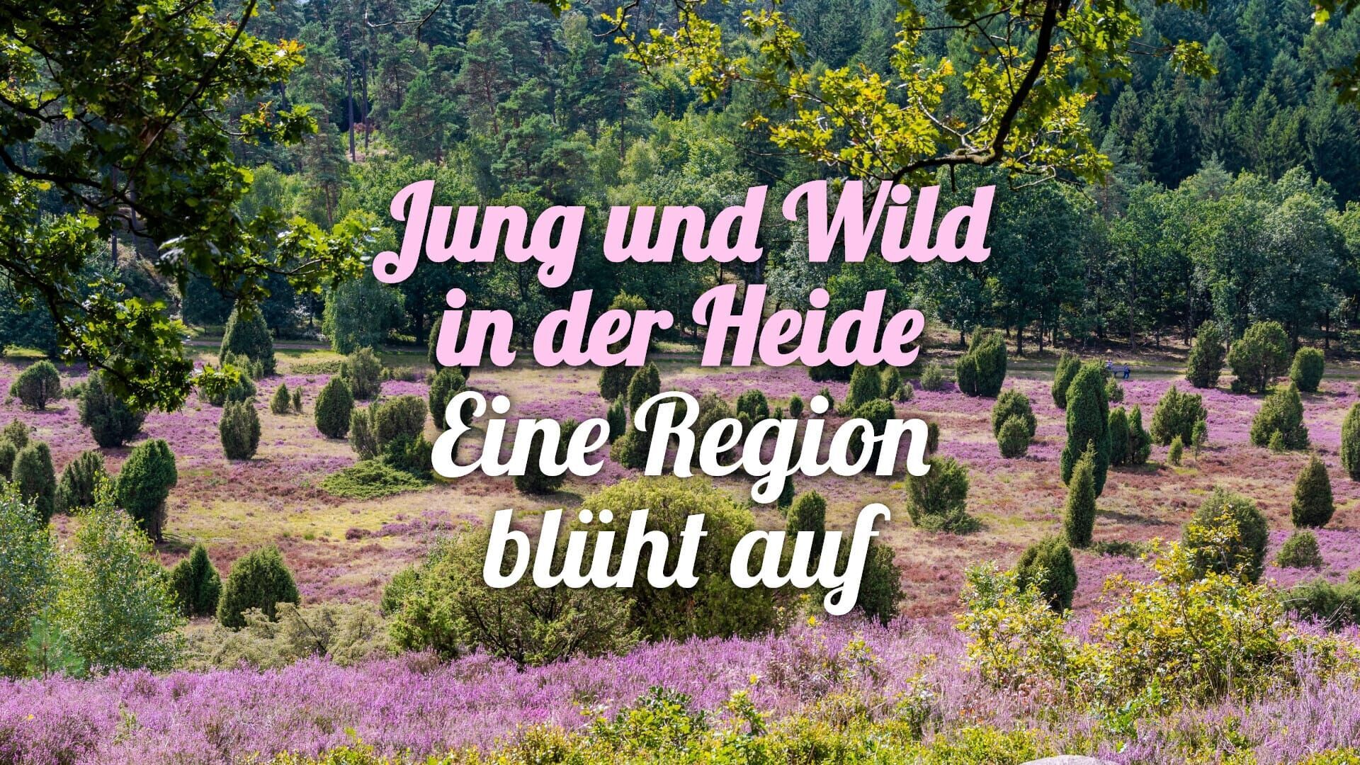 die nordstory Spezial – Jung und Wild in der Heide