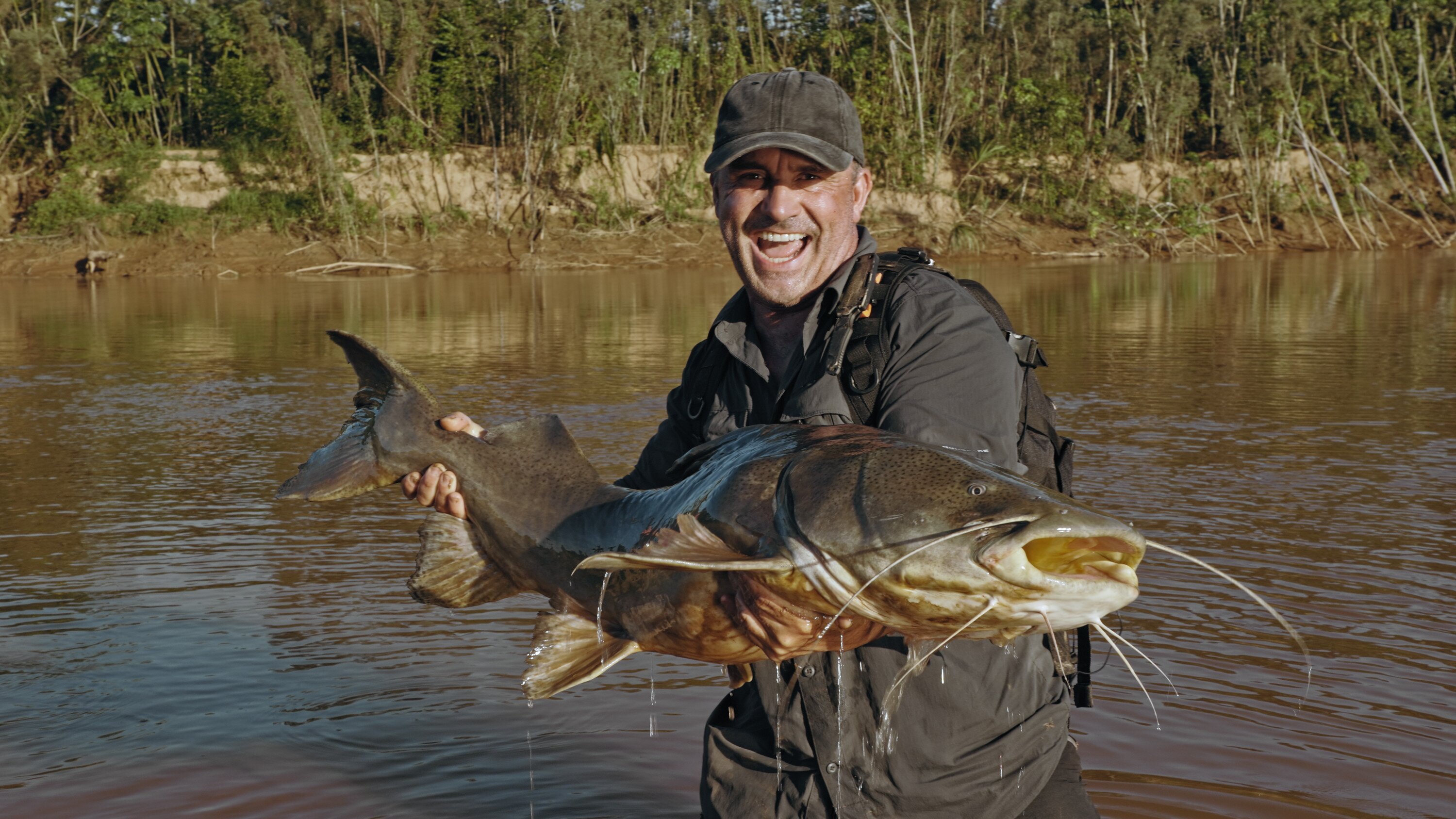 Giganten unter Wasser – Riesenfischen auf der Spur