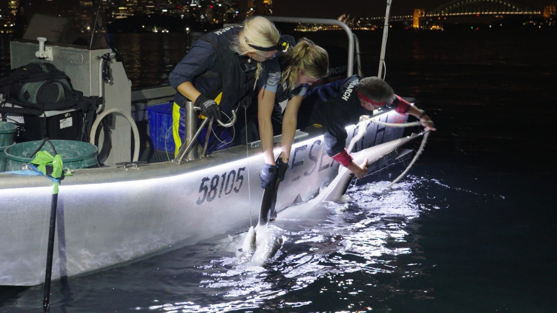 Harbour Force Sydney – Die Hafen-Helden