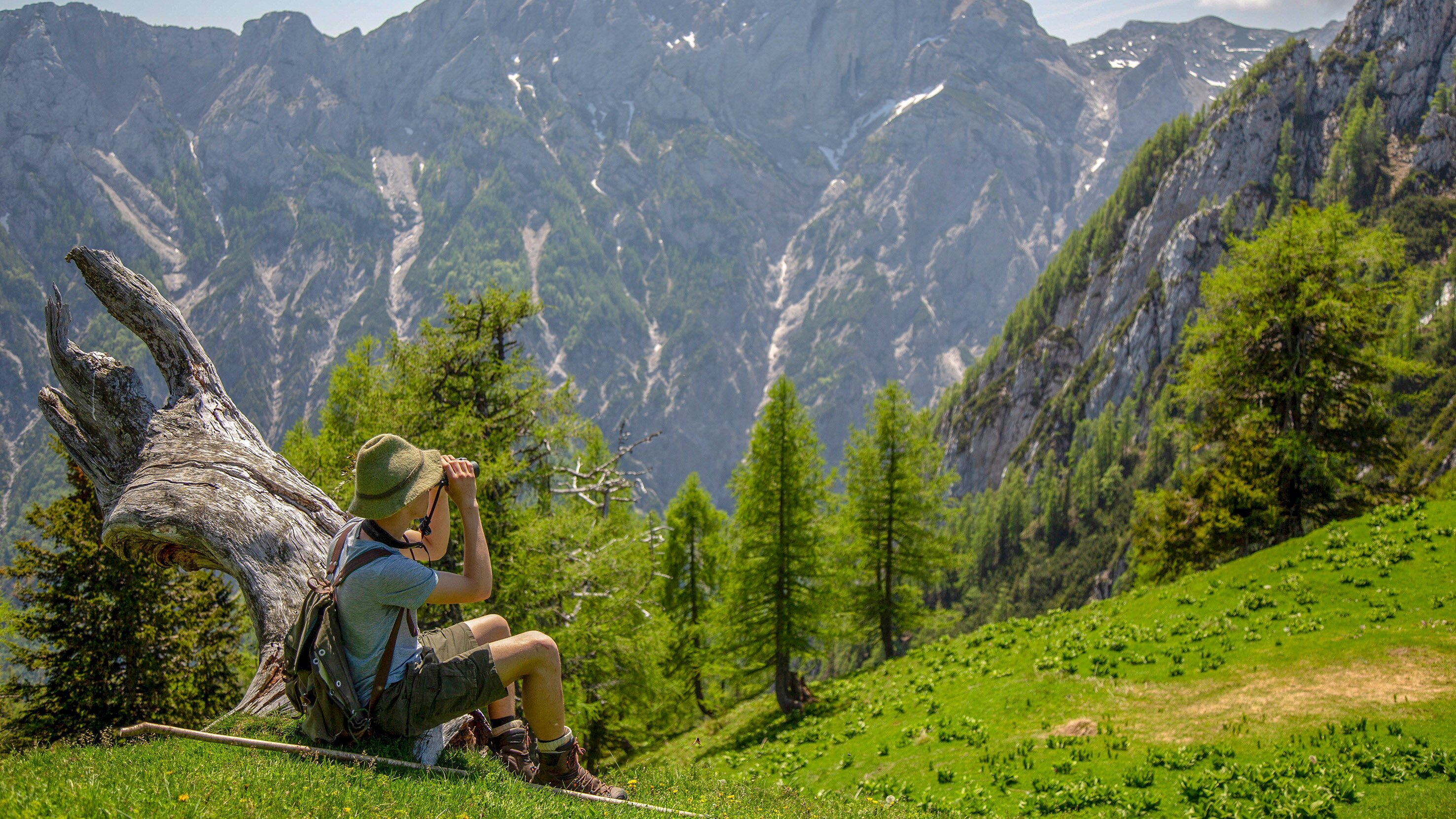 Heimat in den Alpen