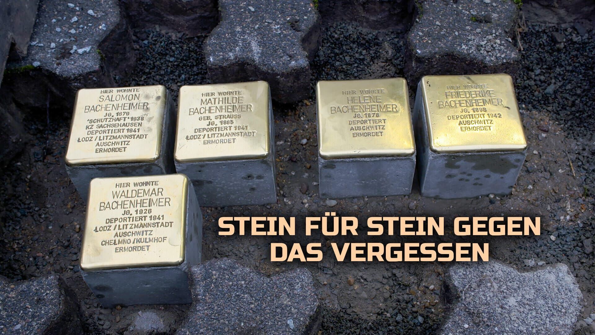 Stein für Stein gegen das Vergessen