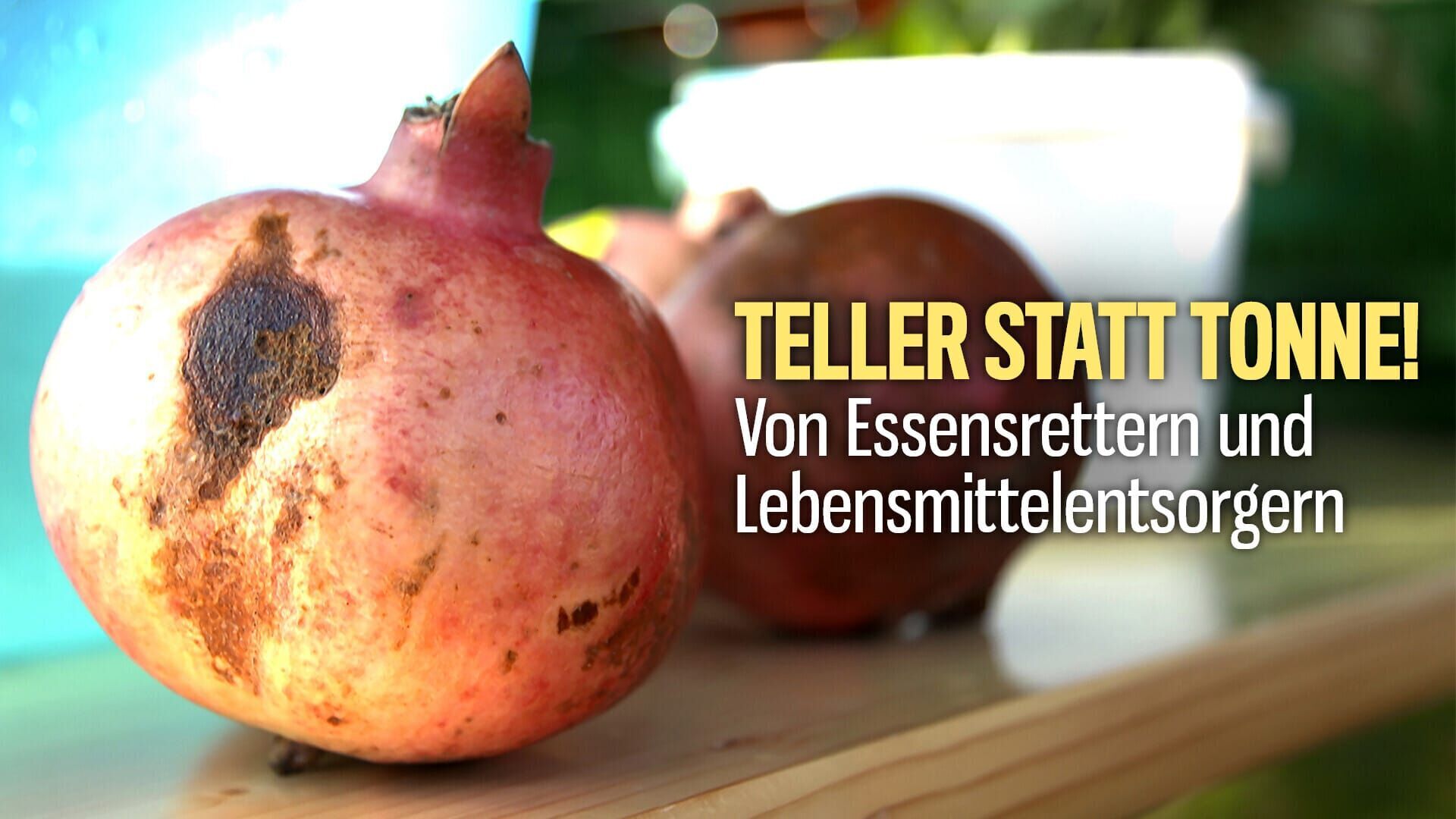 Teller statt Tonne!