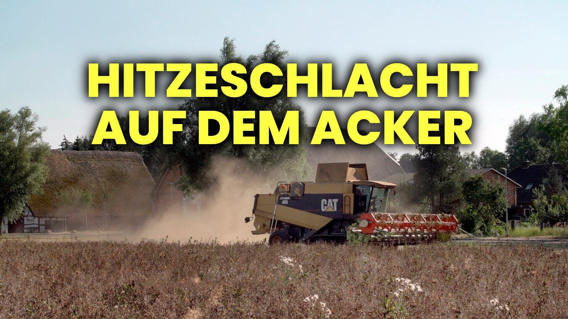 Hitzeschlacht auf dem Acker