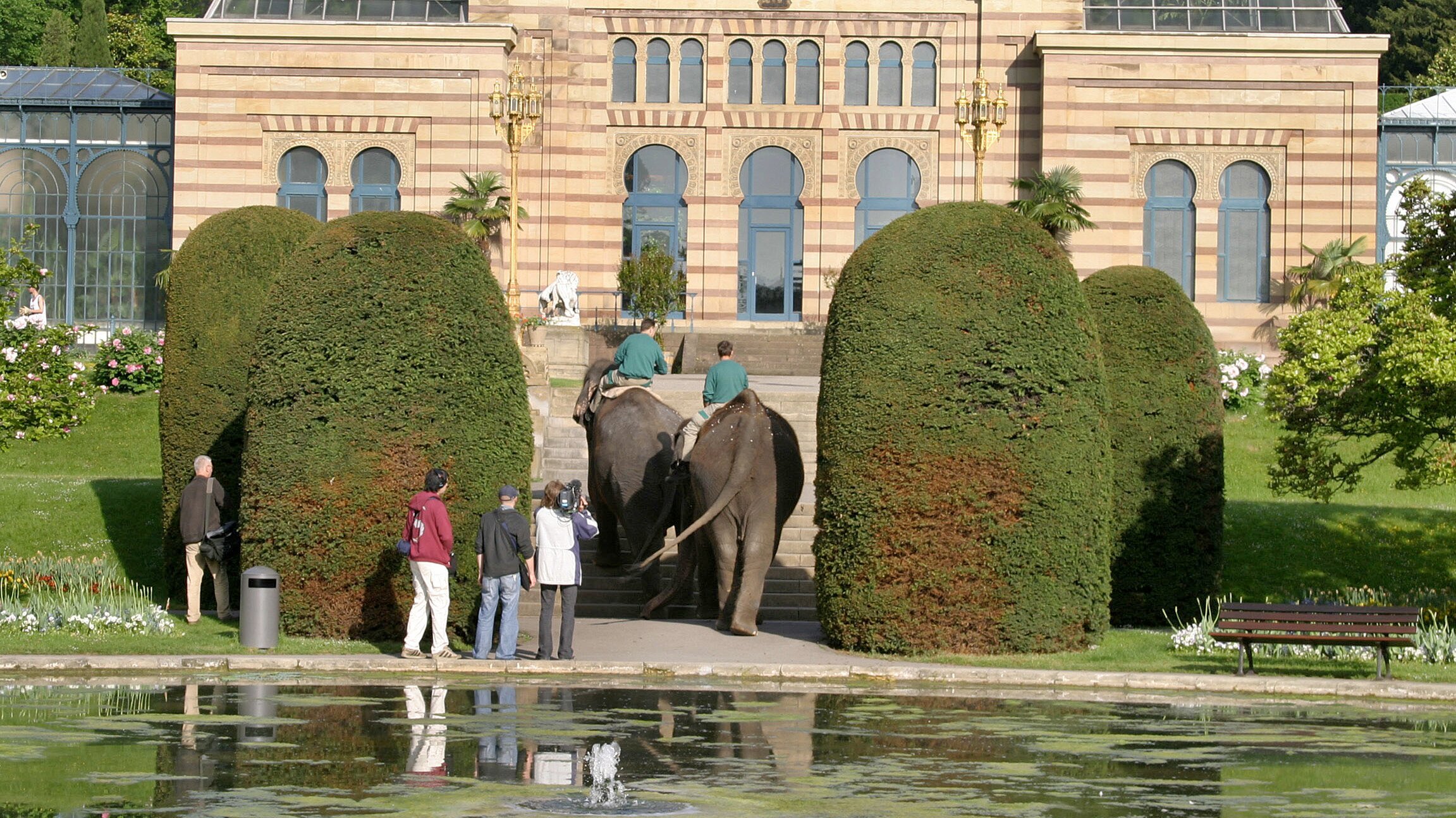 Eisbär, Affe & Co.