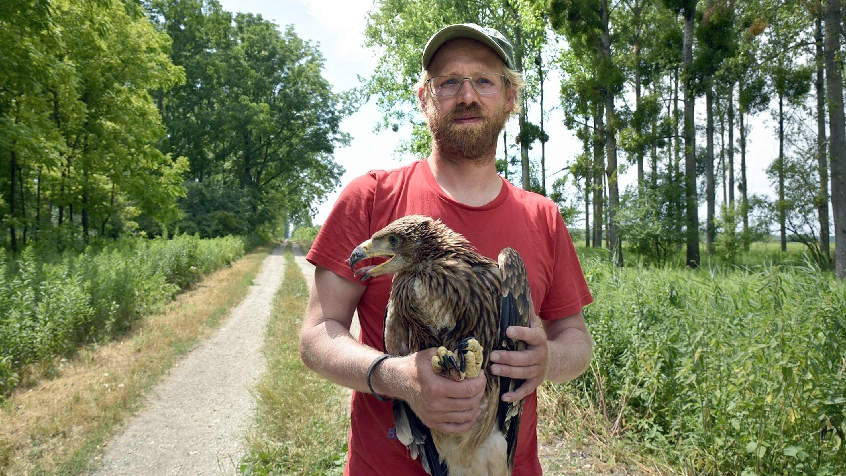 Kaiseradler in Gefahr – Auf der Spur der Wilderer