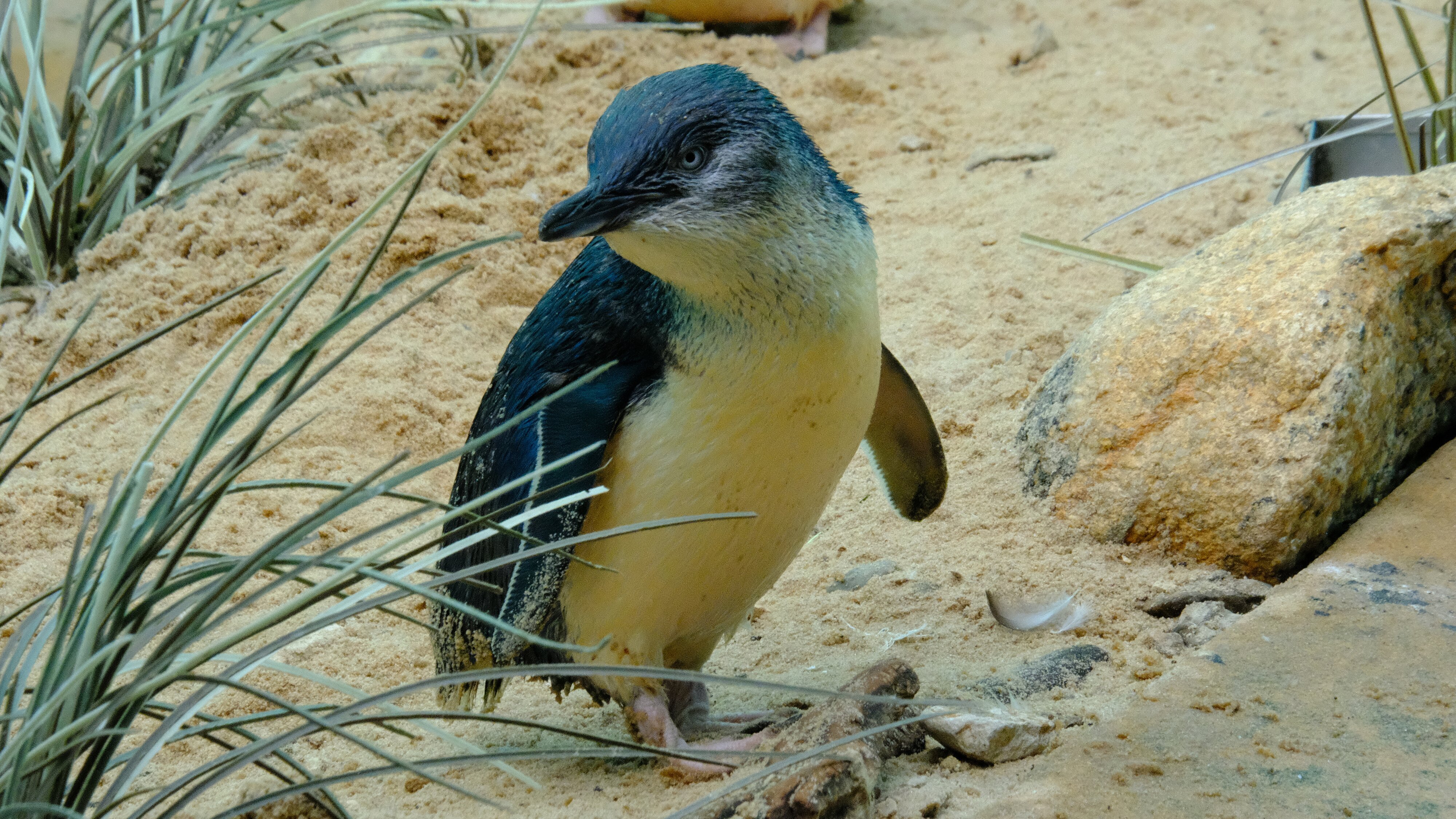 Bronx Zoo – Tierpark der Superlative