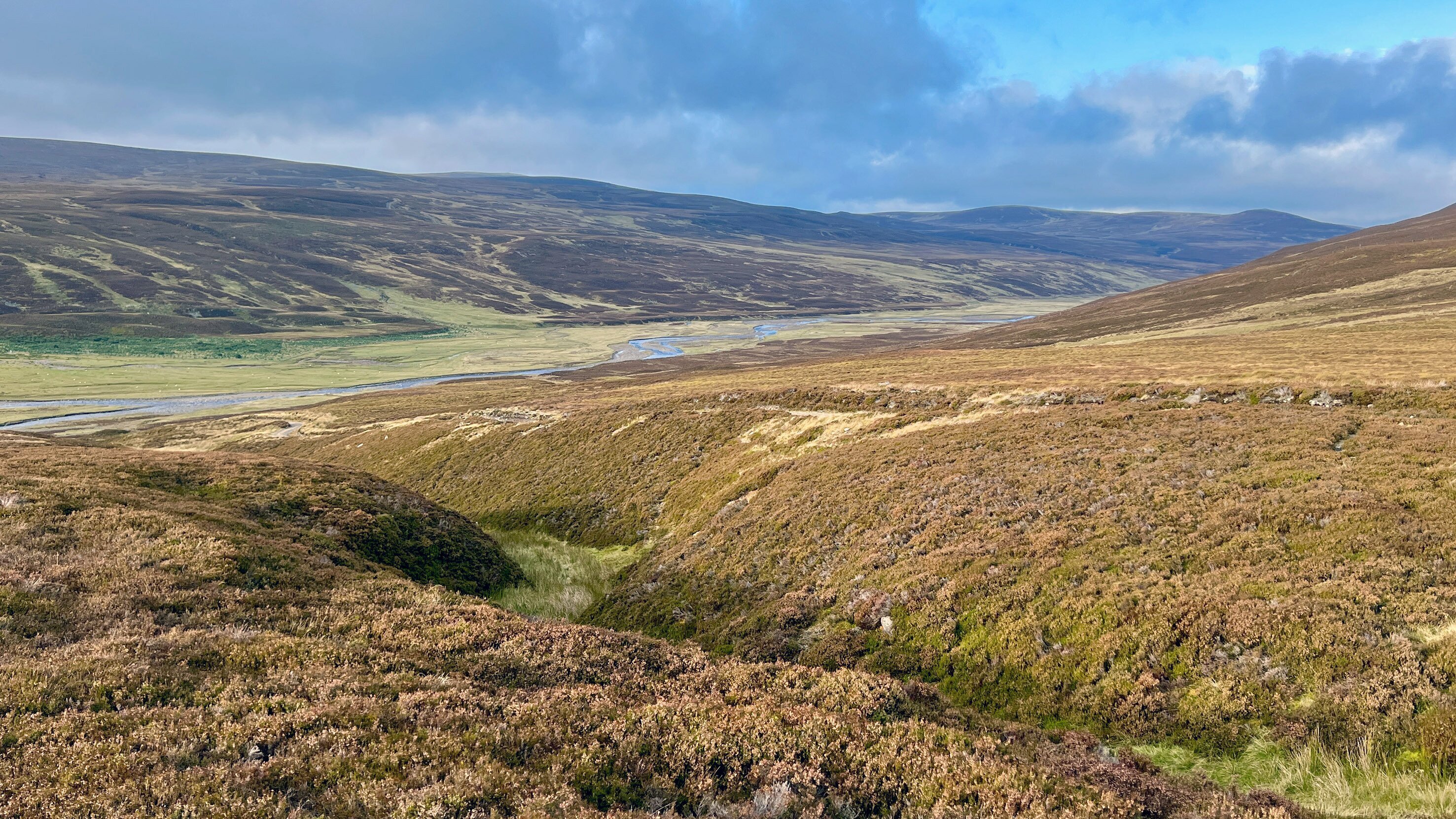 Rückkehr der Wildnis in Schottlands Highlands