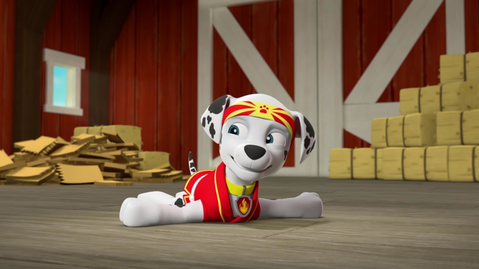 PAW Patrol – Helfer auf vier Pfoten