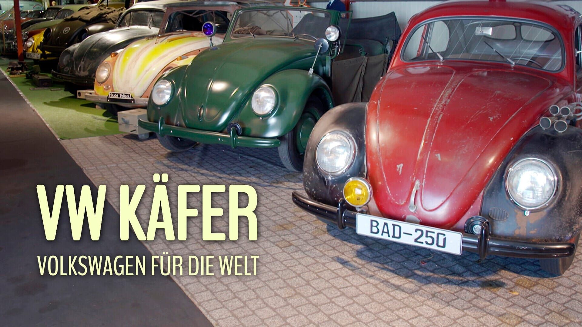 VW Käfer