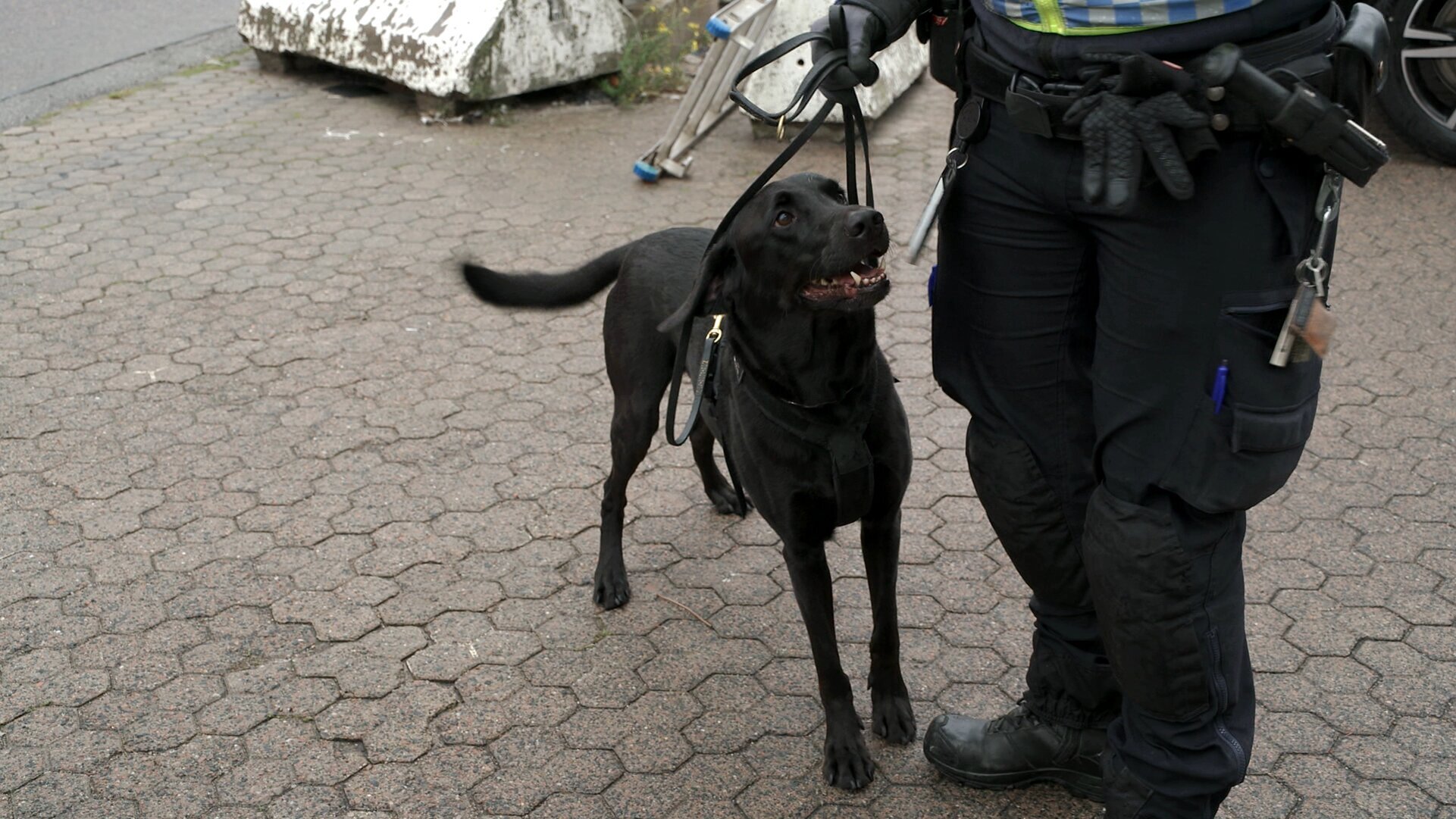 Border Control: Schwedens Grenzschützer