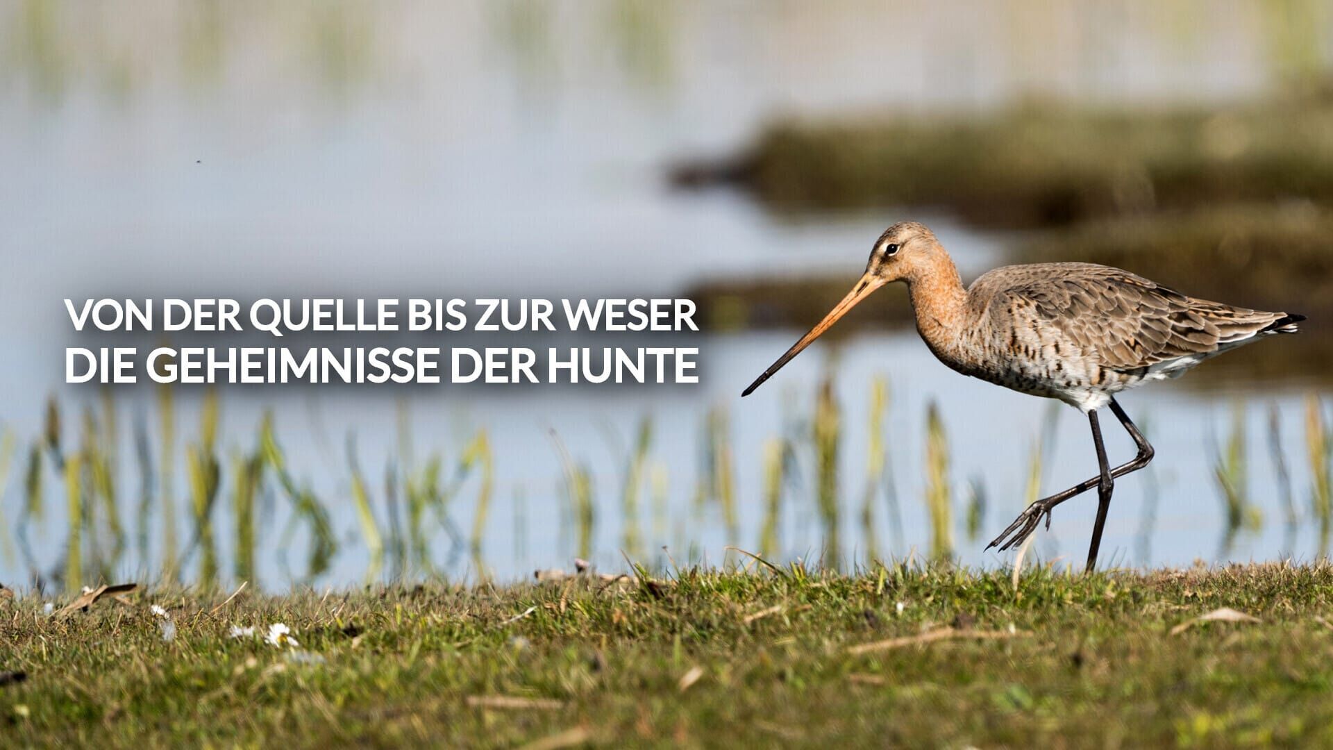 Von der Quelle bis zur Weser – Die Geheimnisse der Hunte