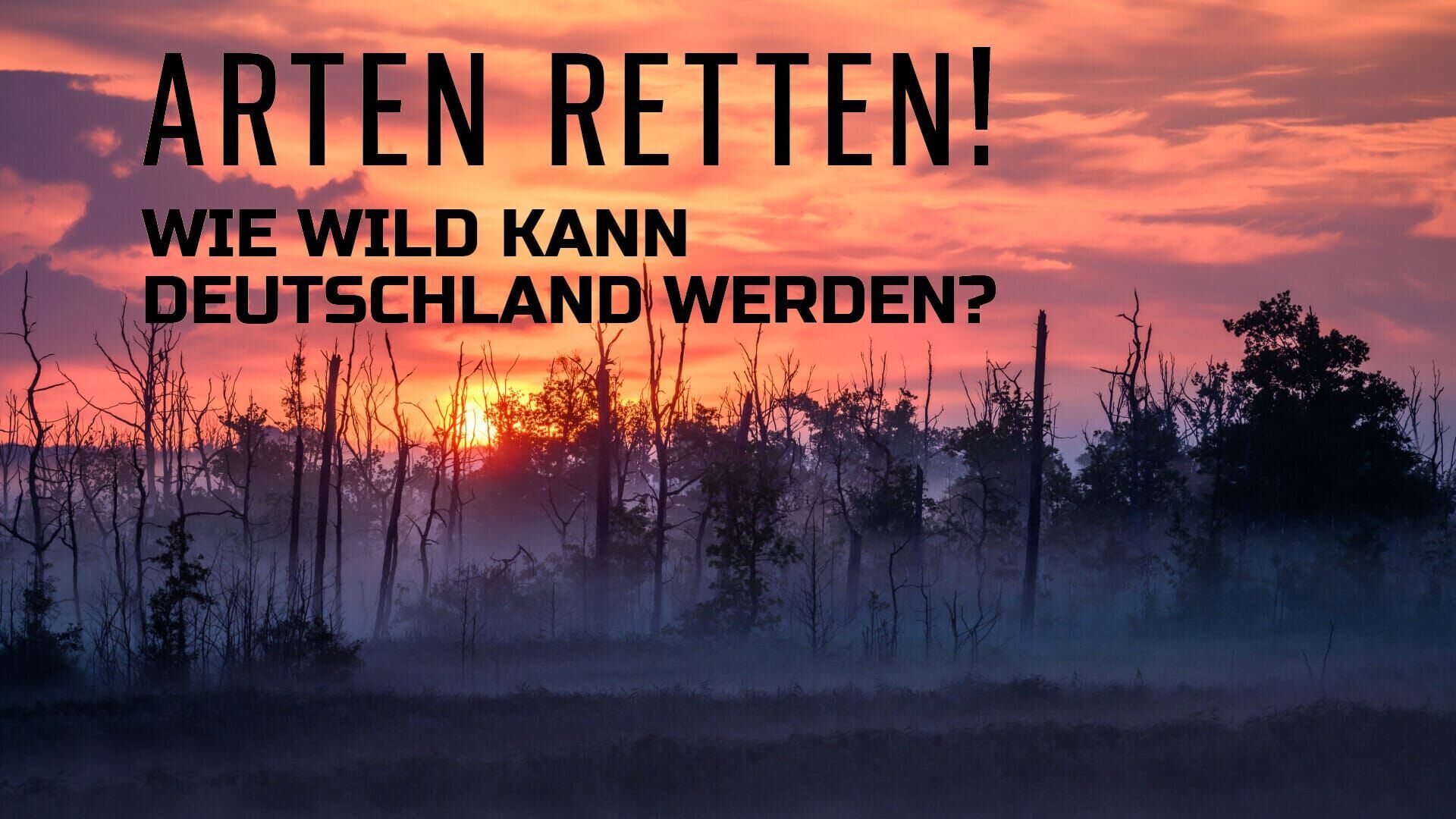 Arten retten! Wie wild kann werden?