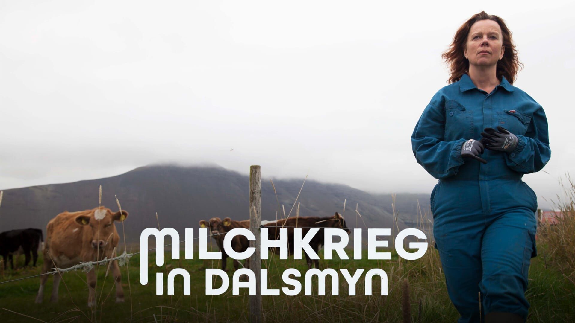 Milchkrieg in Dalsmynni