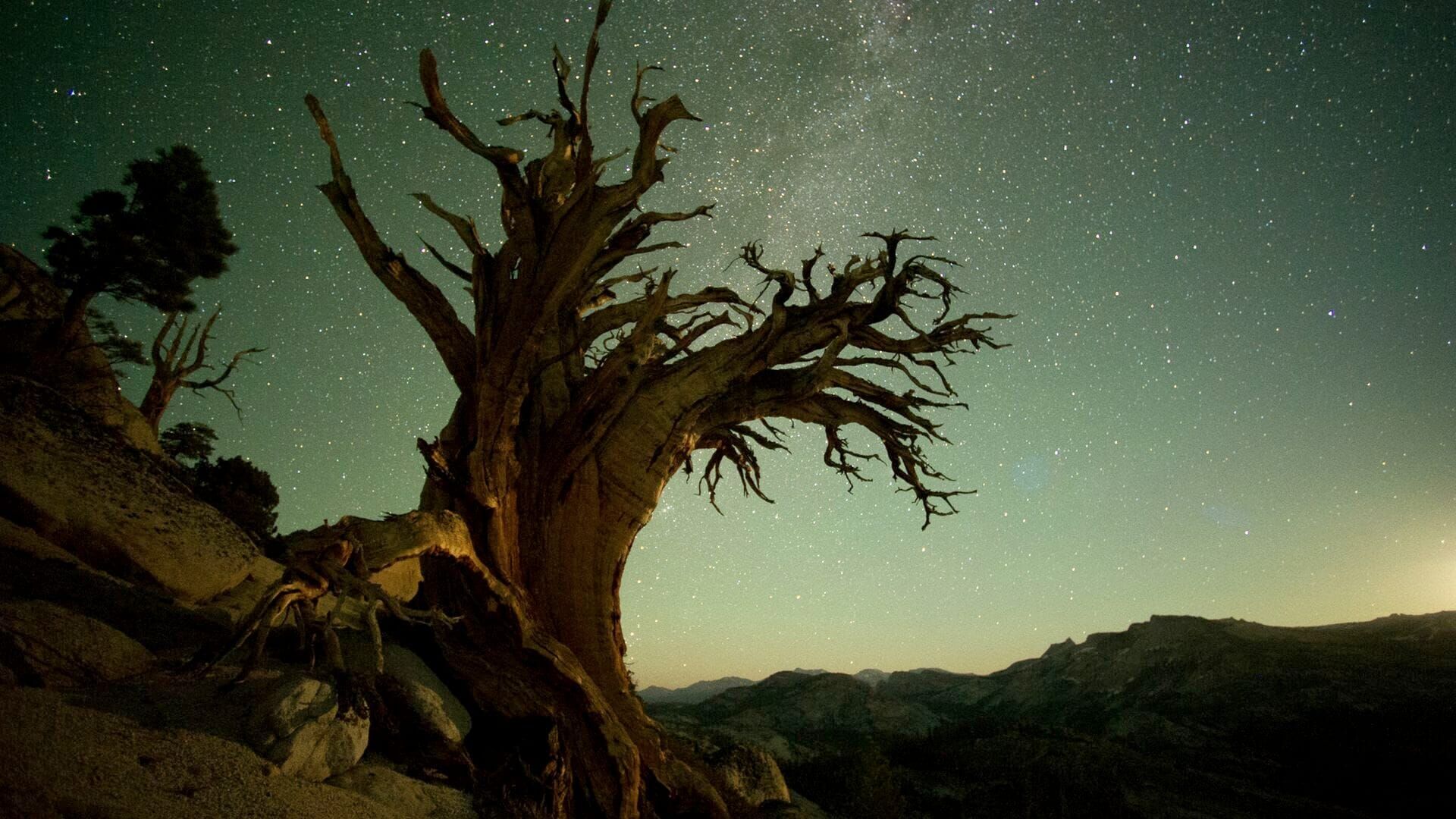 Amerikas Naturwunder: Yosemite