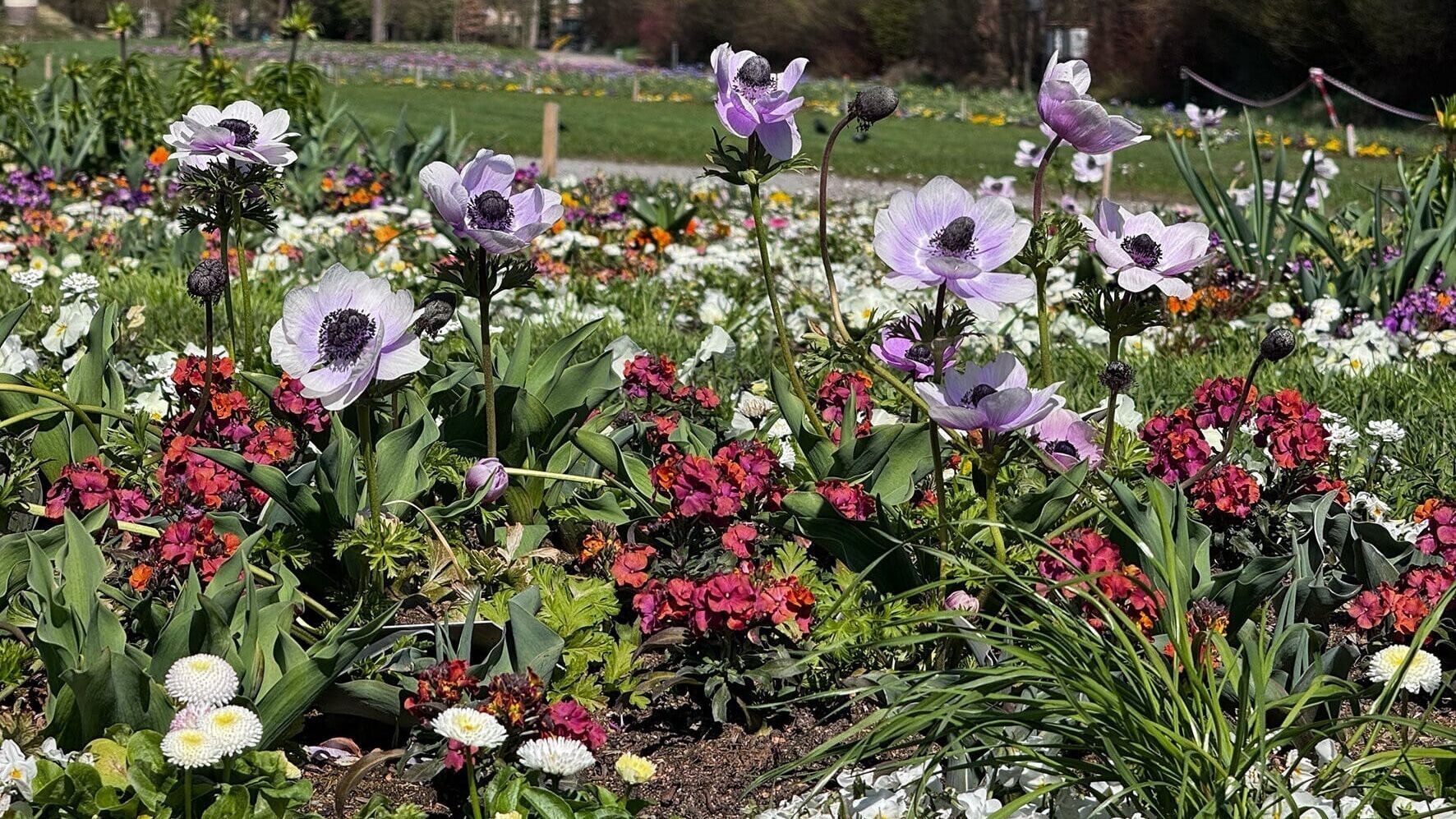 Gartenparadiese am Inn – Die OÖ Landesgartenschau in Schärding