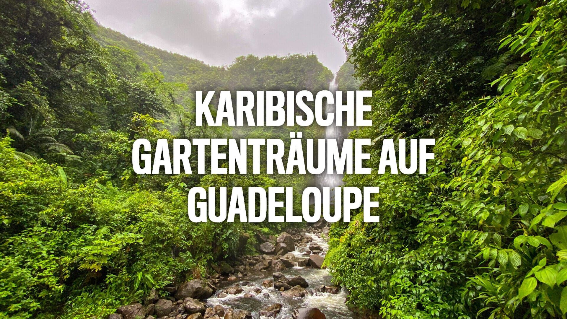 Karibische Gartenträume auf Guadeloupe