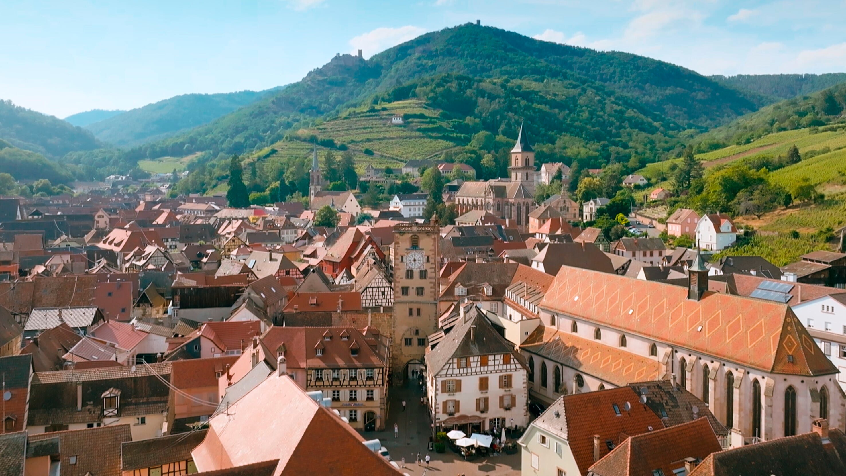 Das Elsass – Eine kulinarische Reise durch das Jahr