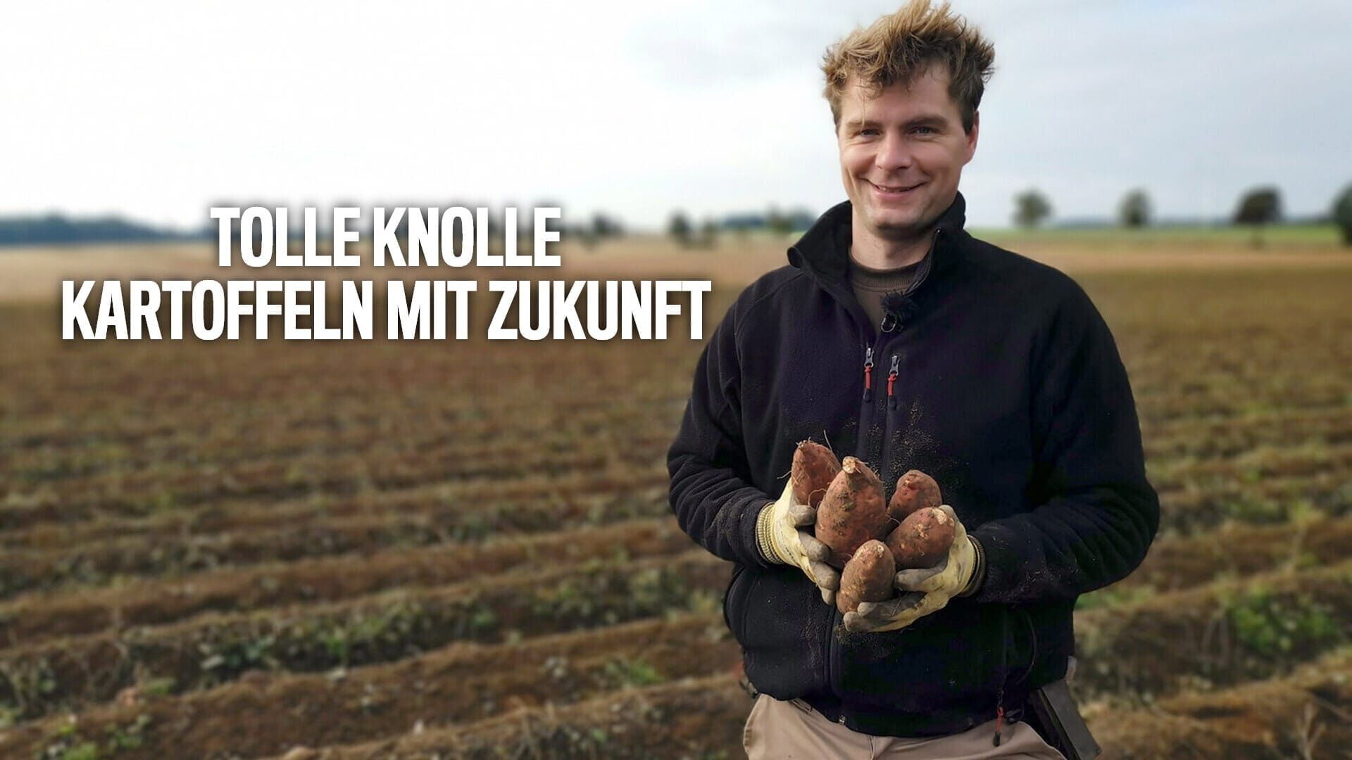 plan b: Tolle Knolle