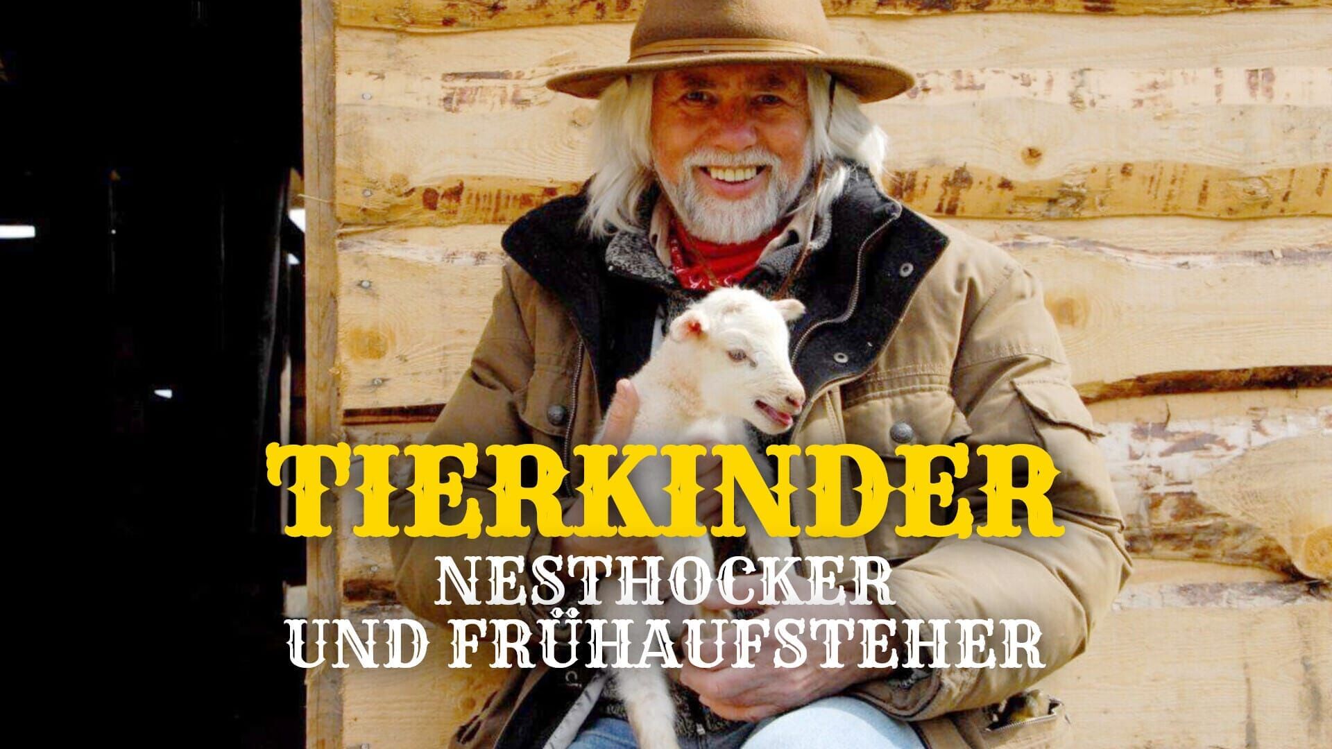 Tierkinder – Nesthocker und Frühaufsteher