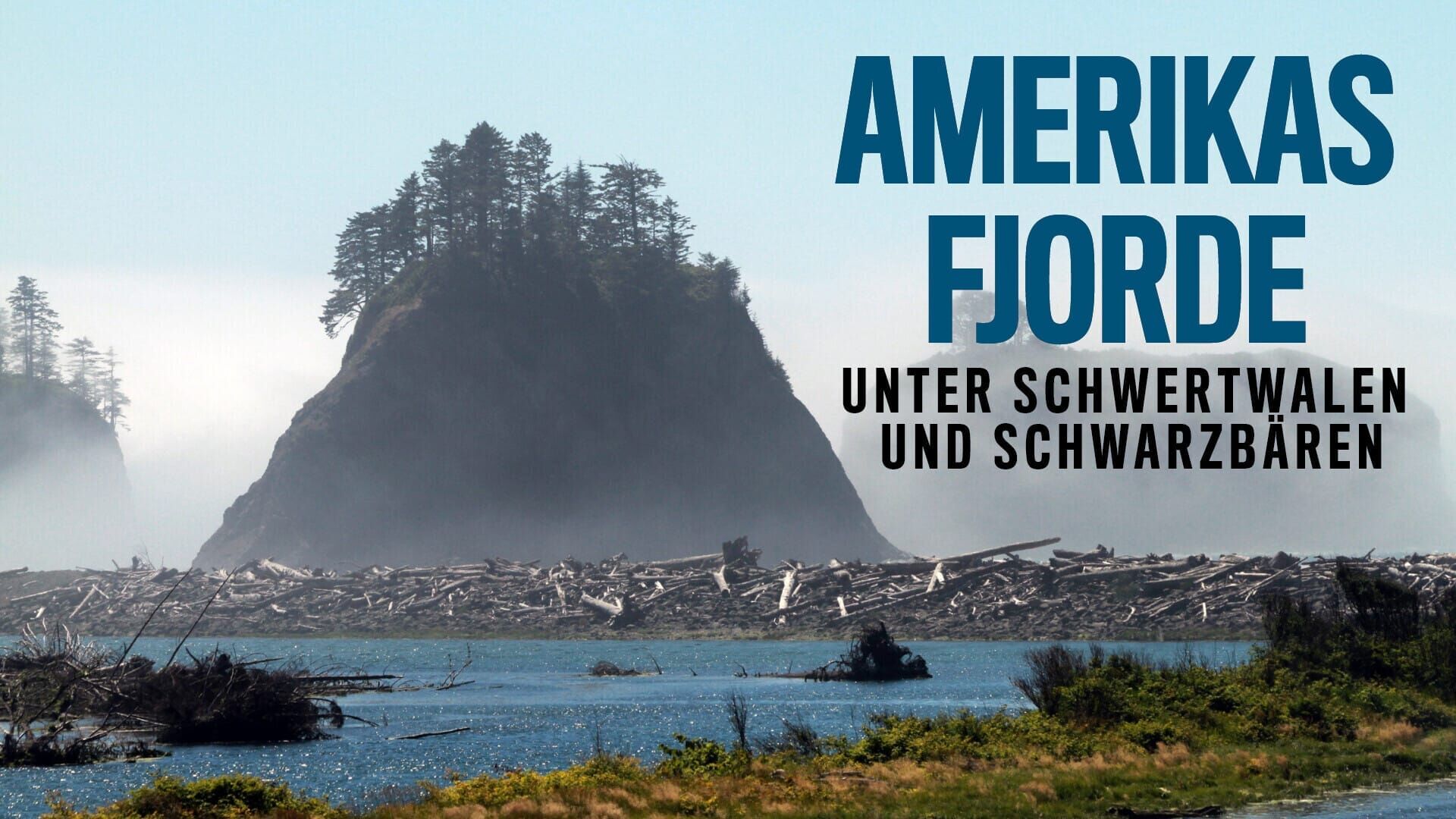 Amerikas Fjorde – Unter Schwertwalen und Schwarzbären