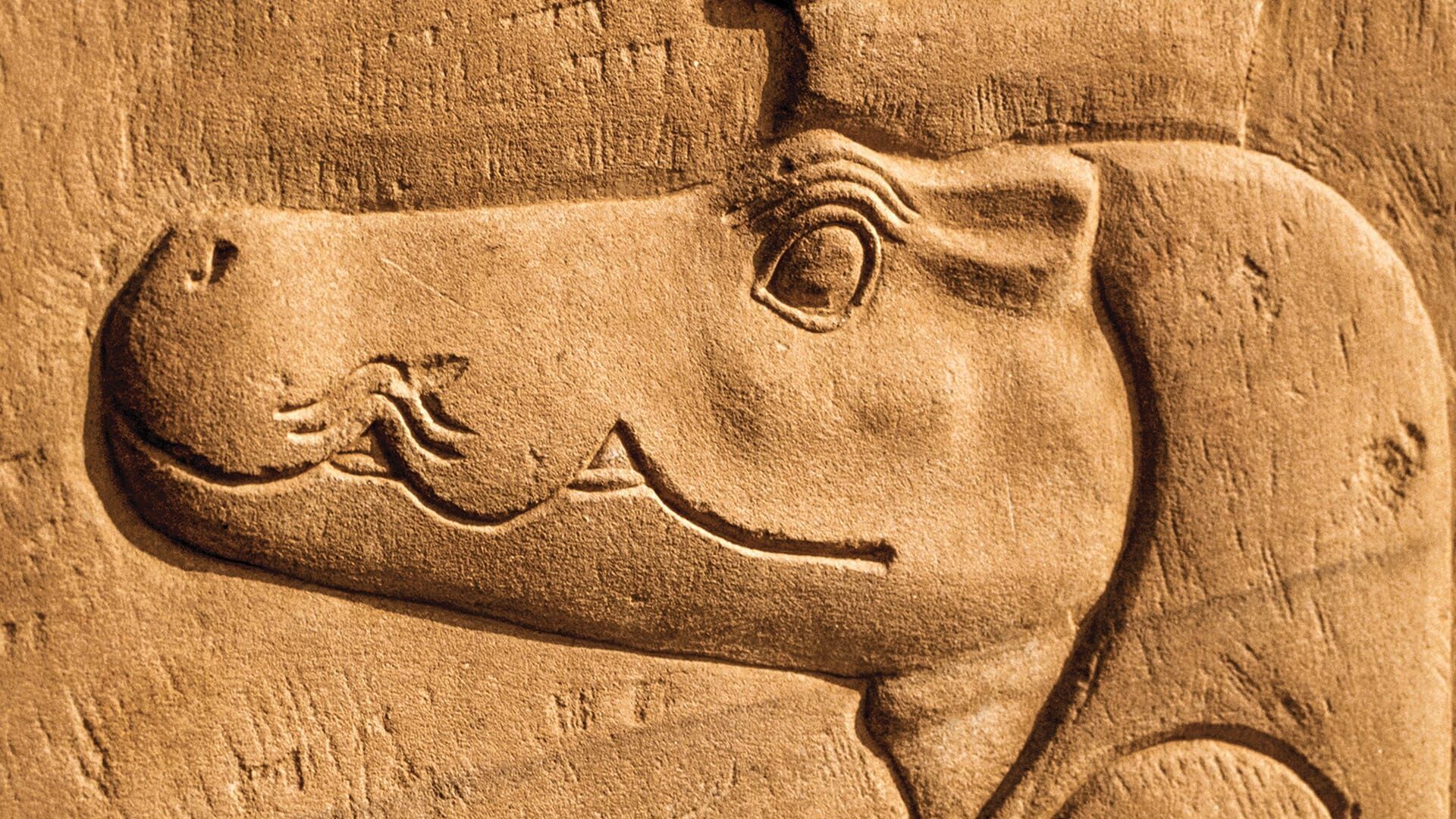 Verborgen im Sand – Geheimnisse der Vergangenheit