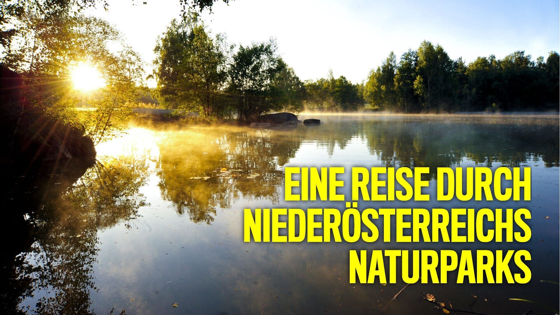 Eine Reise durch Niederösterreichs Naturparks – Von wilden Tieren, Mooren und Ruinen