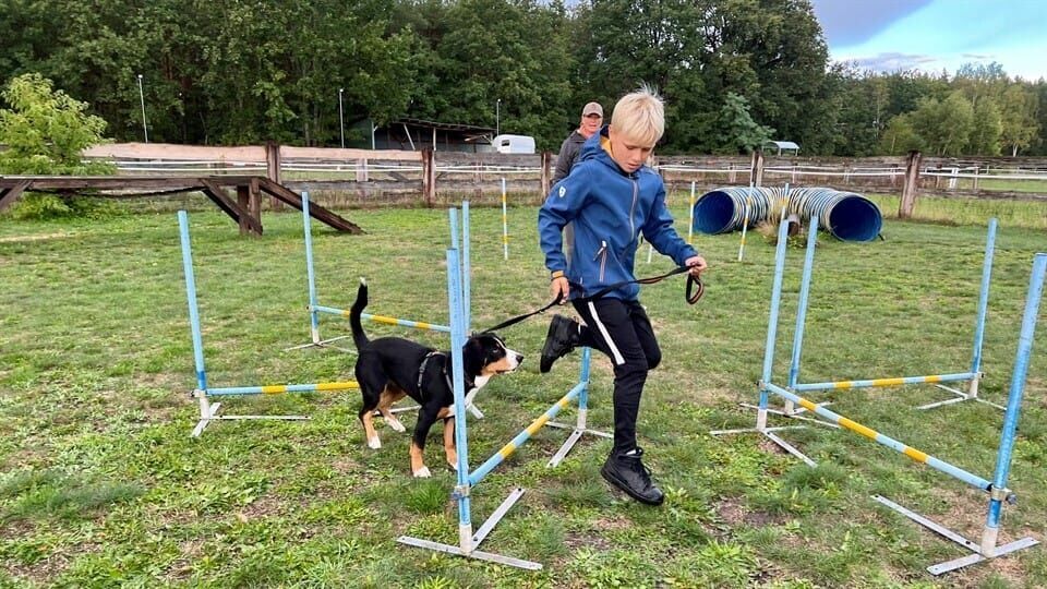 Liebste Fellnasen – Abenteuer Hundeschule