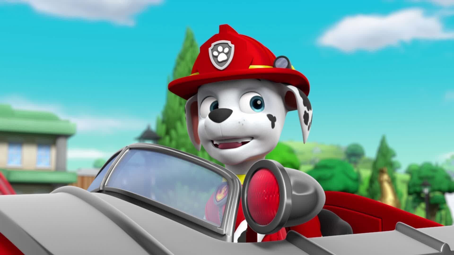 PAW Patrol – Helfer auf vier Pfoten