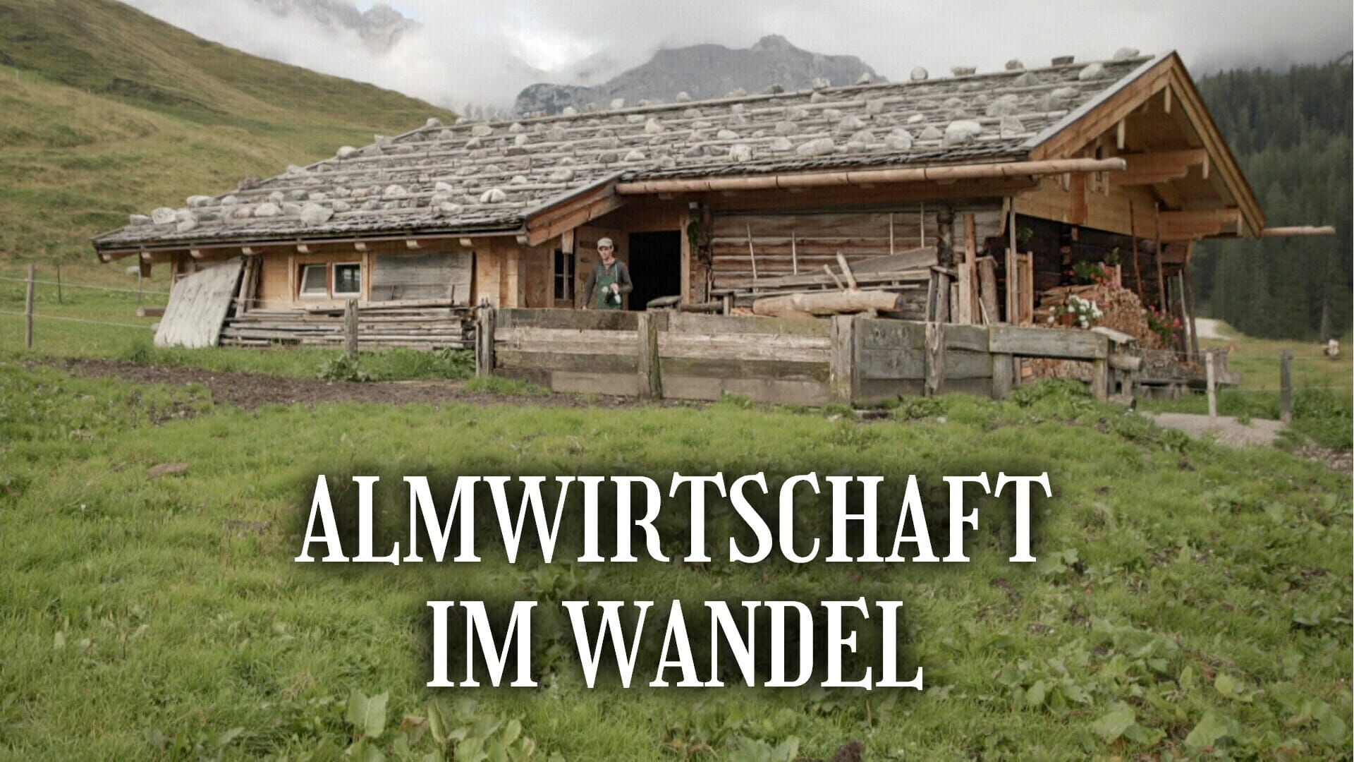 Almwirtschaft im Wandel