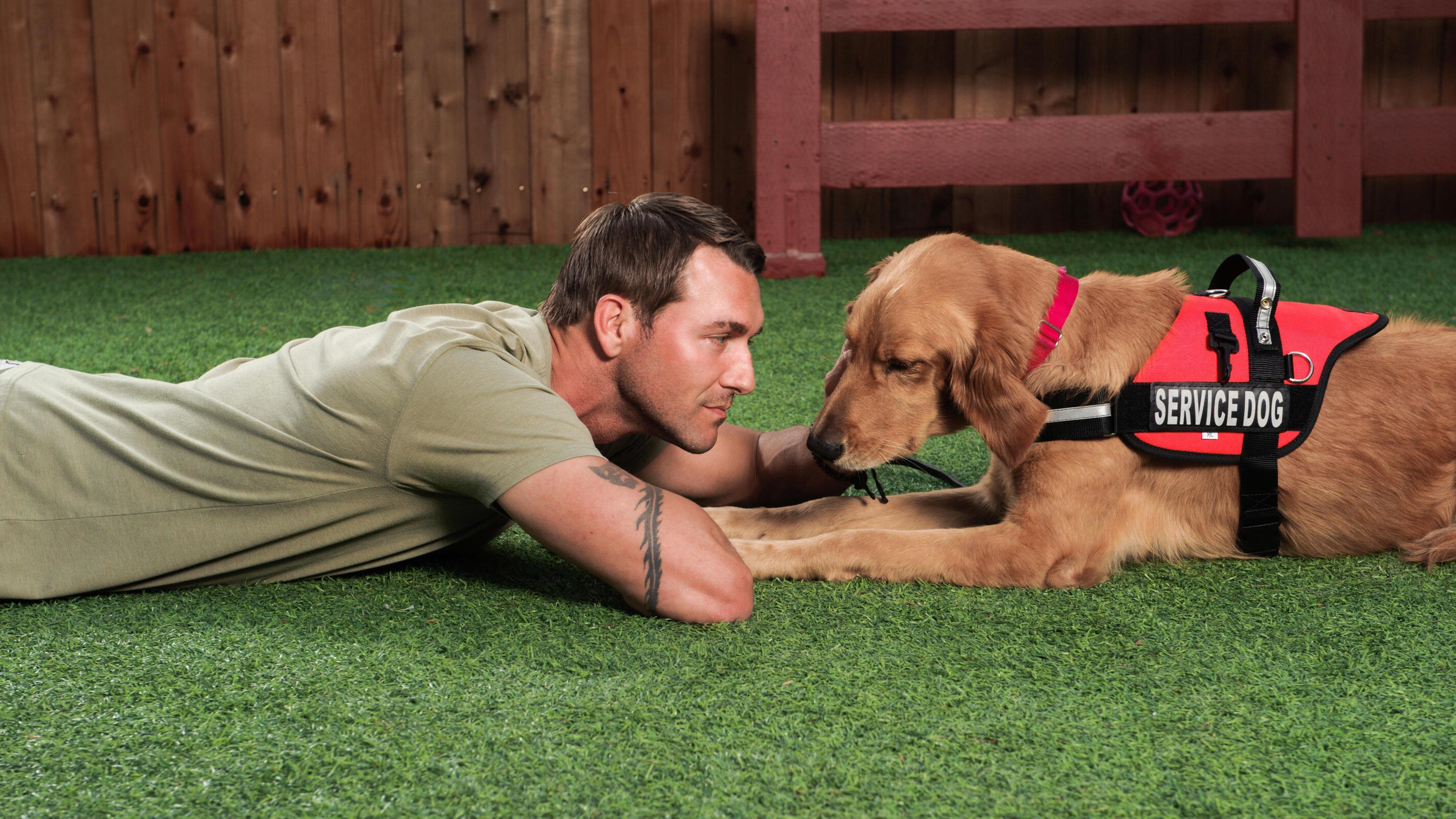 Der Hundetrainer – Lucky Dogs mit Brandon McMillan