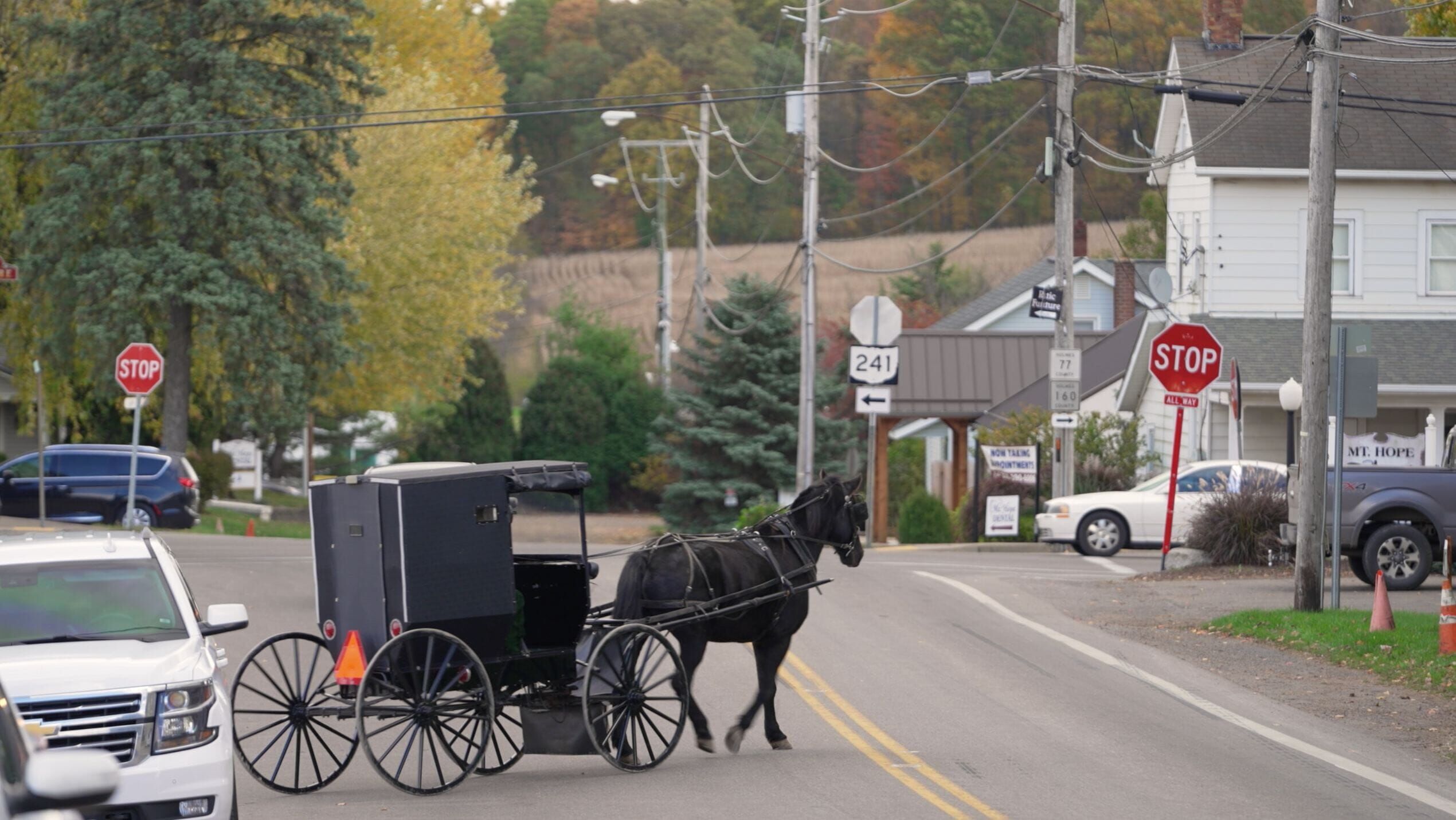 Die Welt der Amish – Tradition und Versuchung