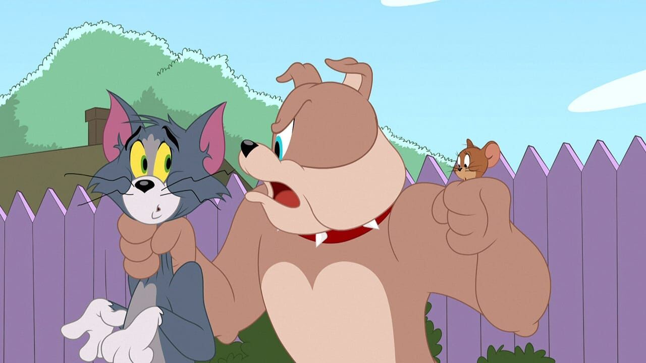 Die Tom und Jerry Show