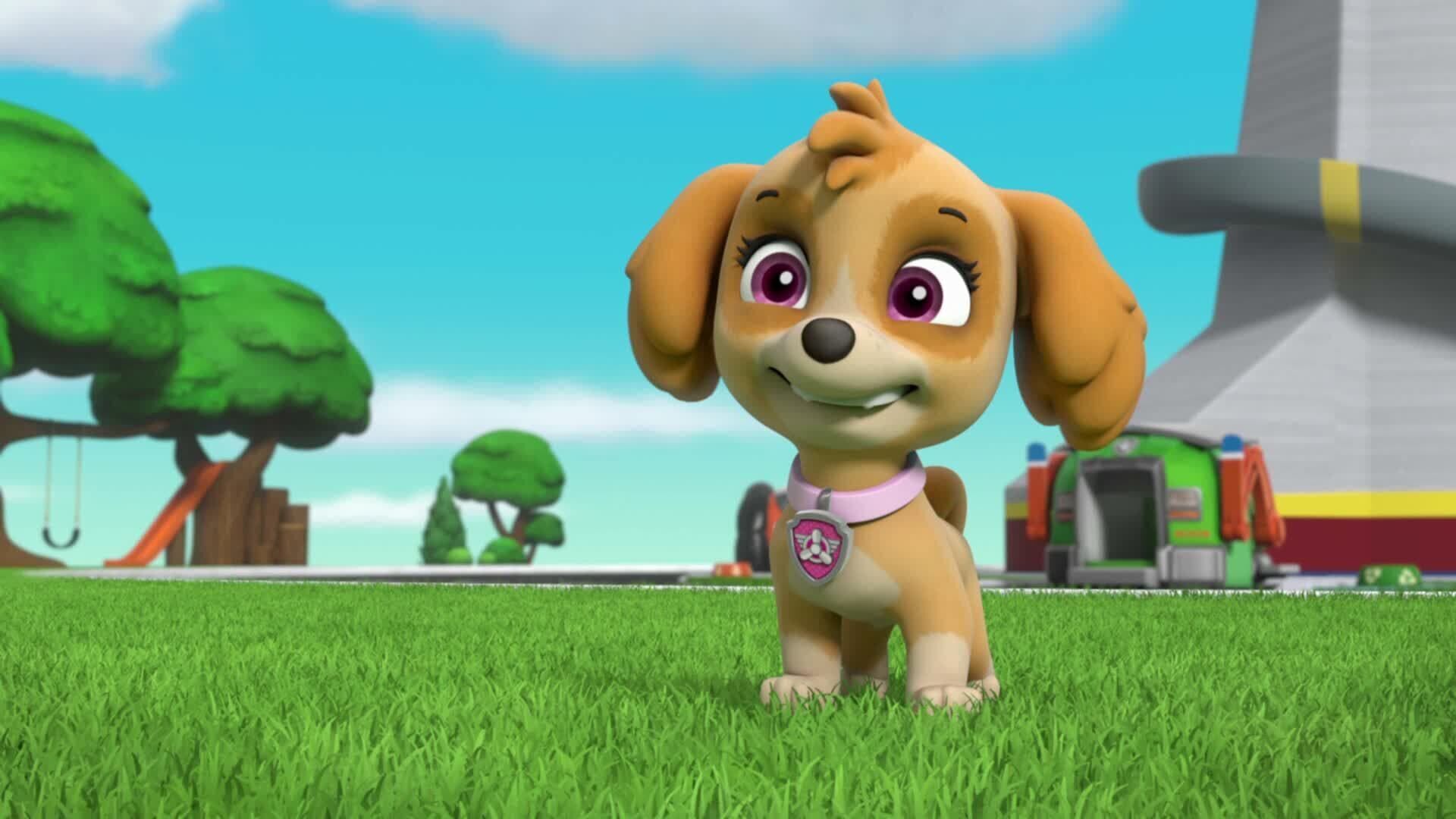 PAW Patrol – Helfer auf vier Pfoten