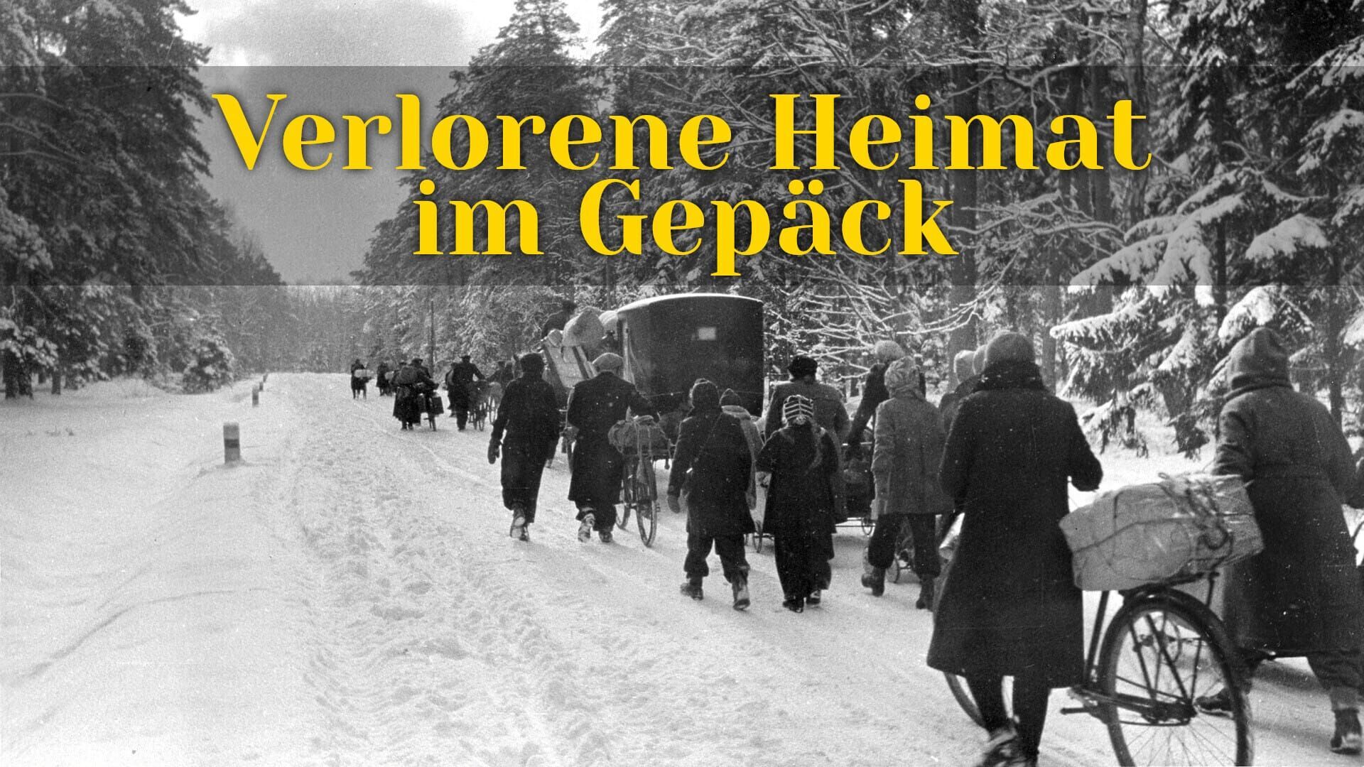 Verlorene Heimat im Gepäck