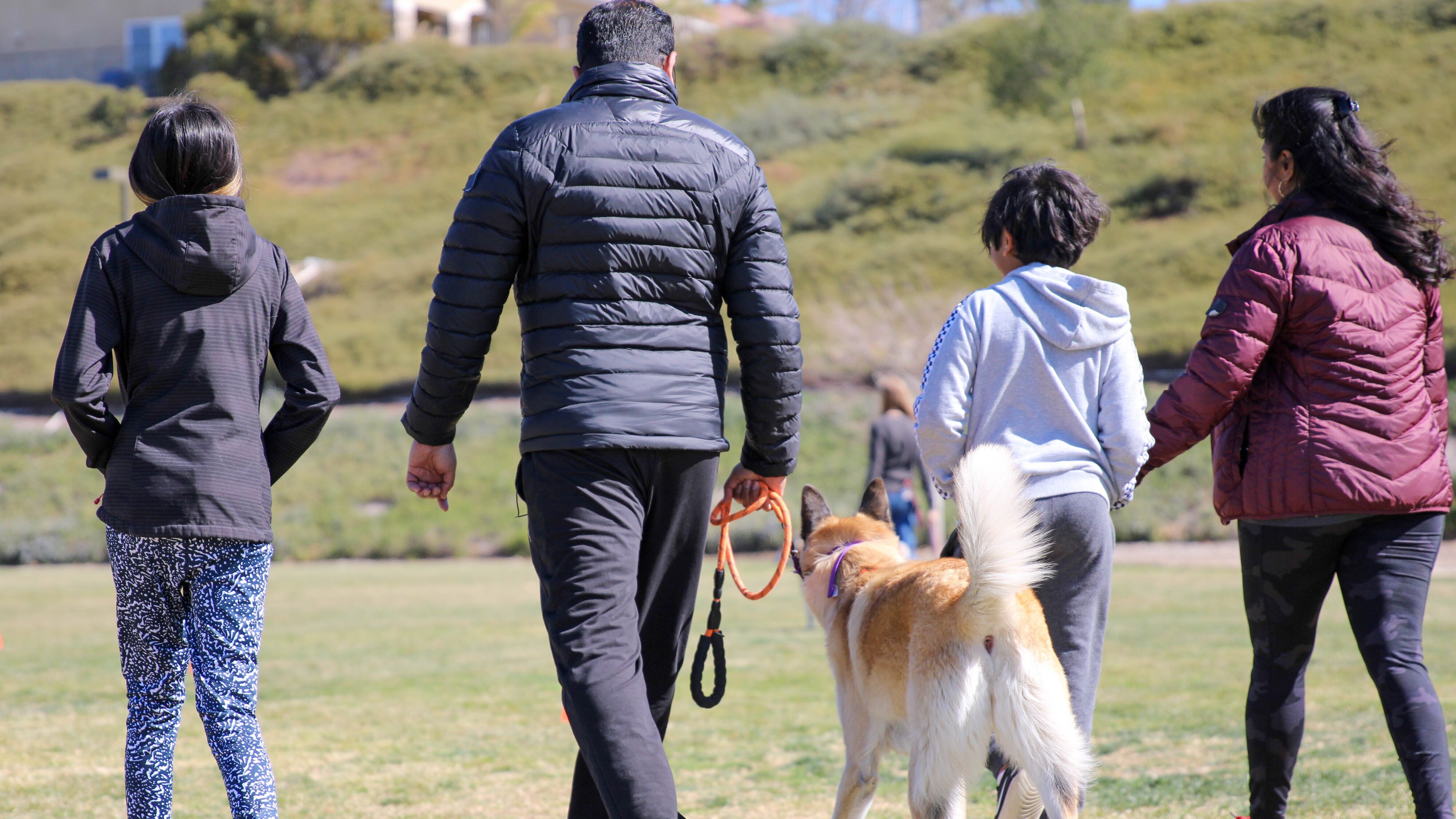 Cesar Millan: Better Human Better Dog – Bessere Menschen, bessere Hunde