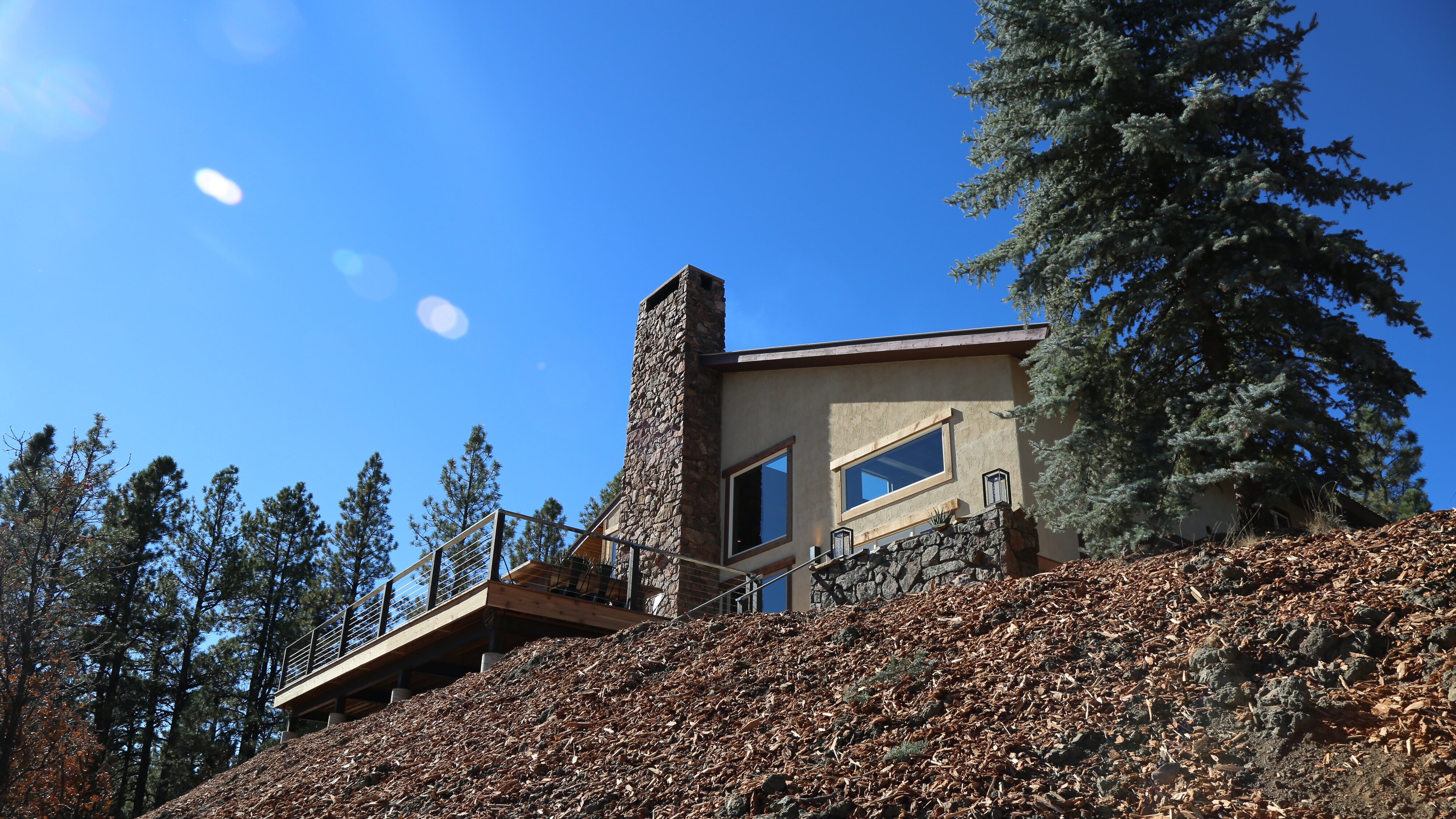 Building Roots – Verwurzelt in Colorado