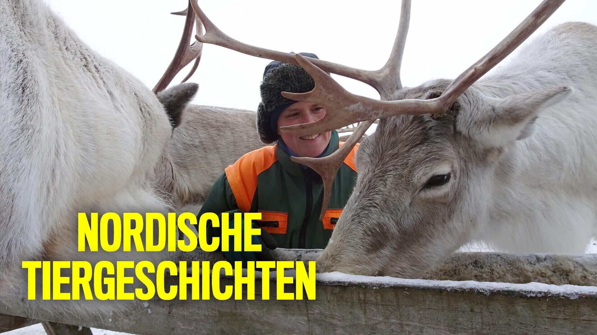 Nordische Tiergeschichten