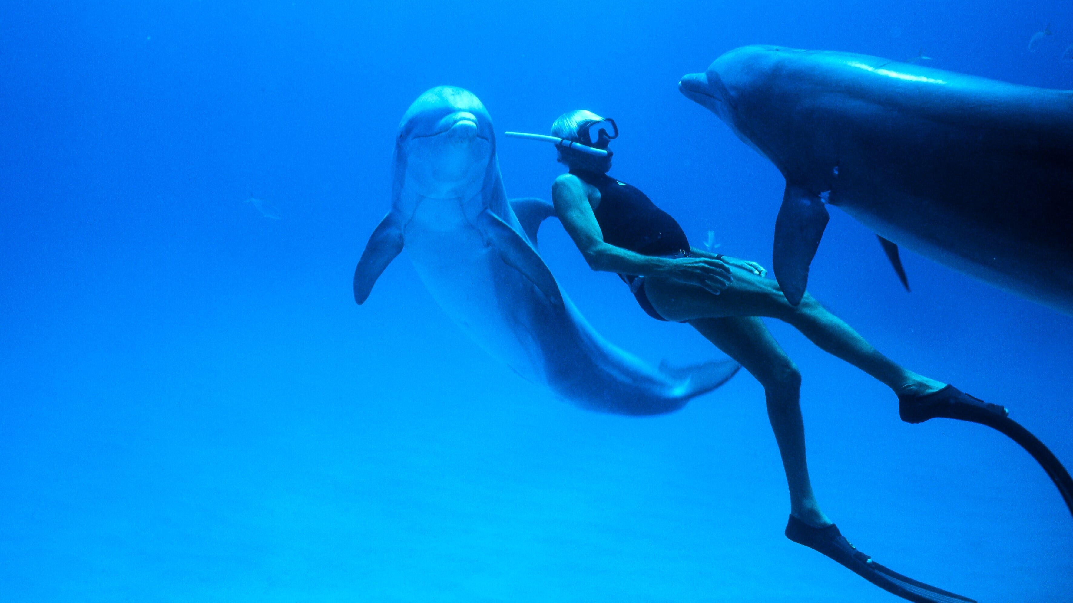 Dolphin Man – Auf den Spuren von Jacques Mayol