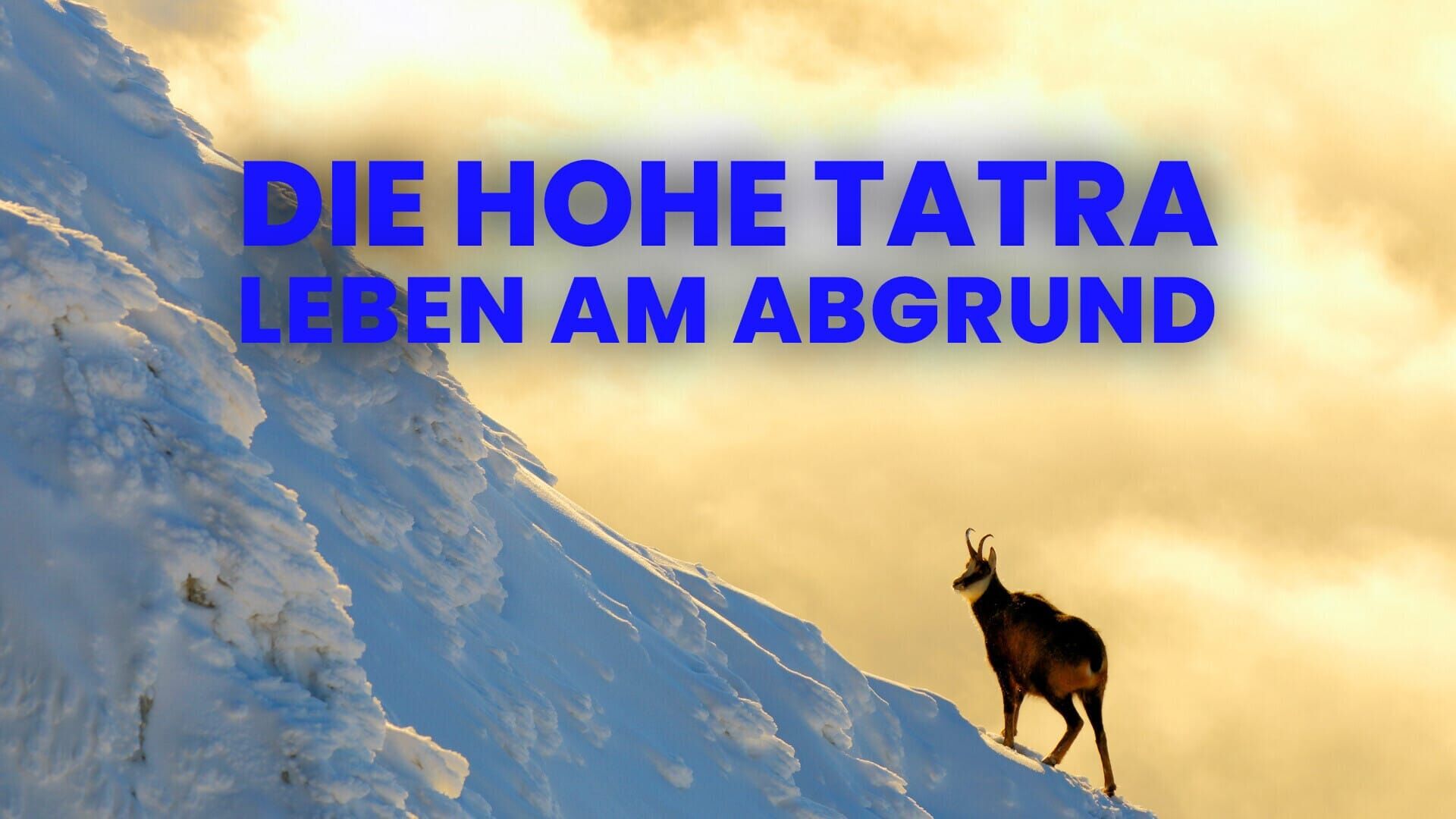 Die Hohe Tatra