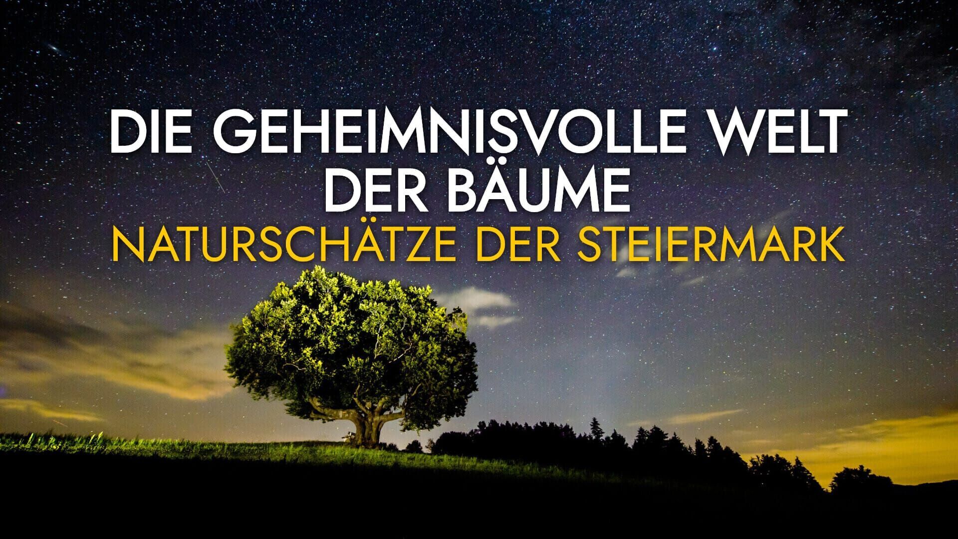 Die geheimnisvolle Welt der Bäume – Naturschätze der Steiermark