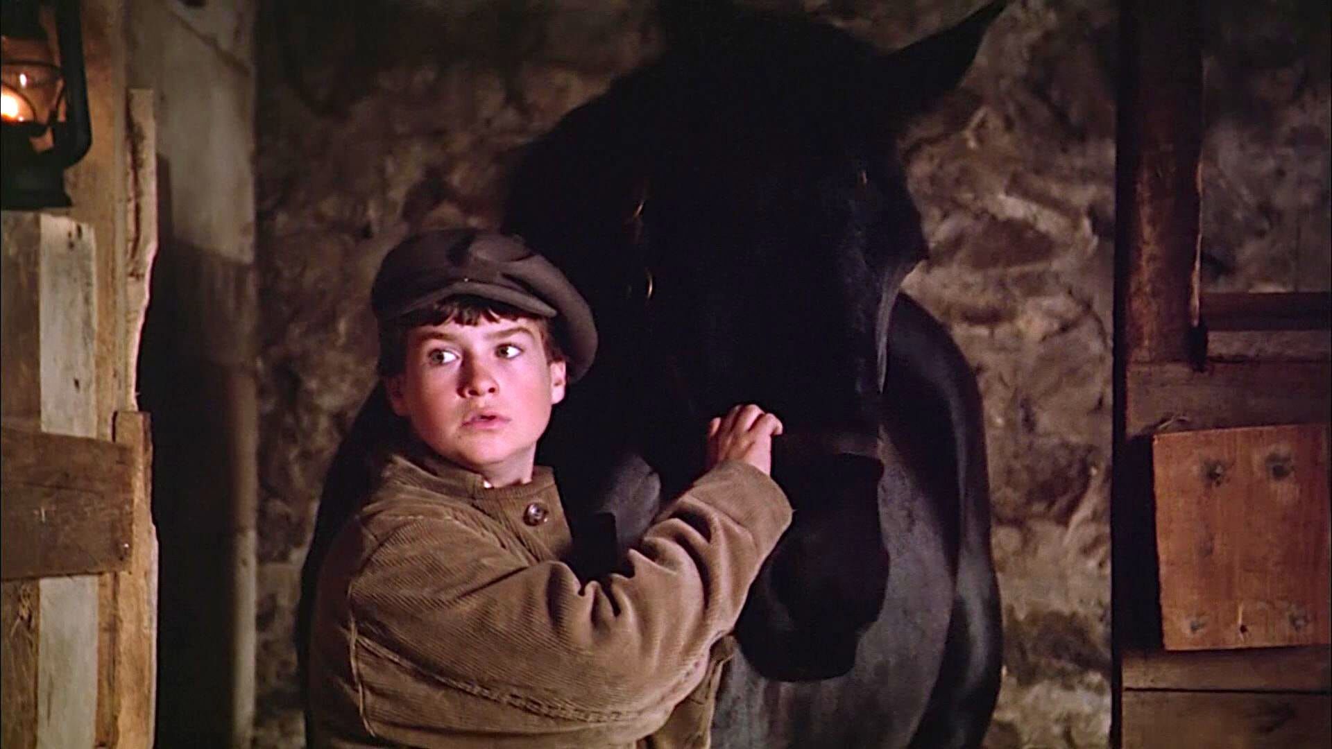 Avonlea – Das Mädchen aus der Stadt