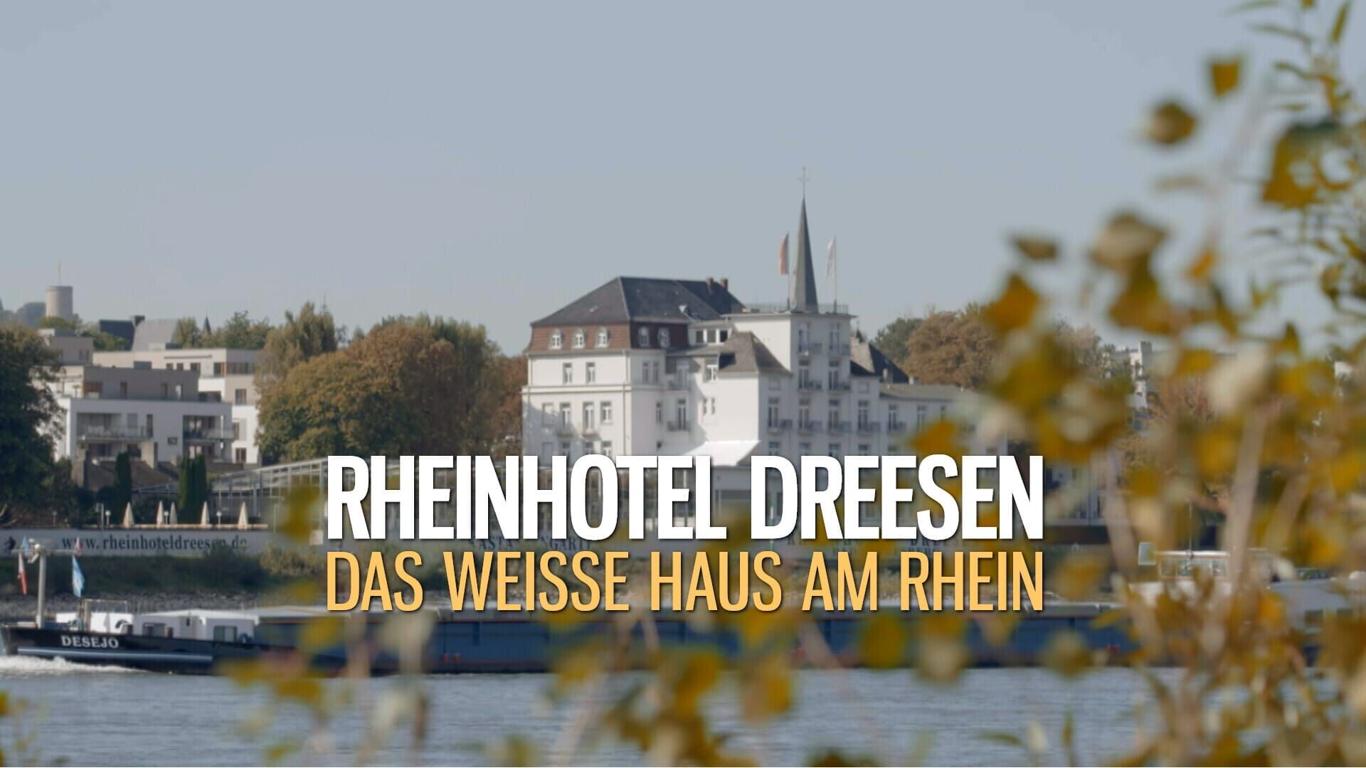 Rheinhotel Dreesen