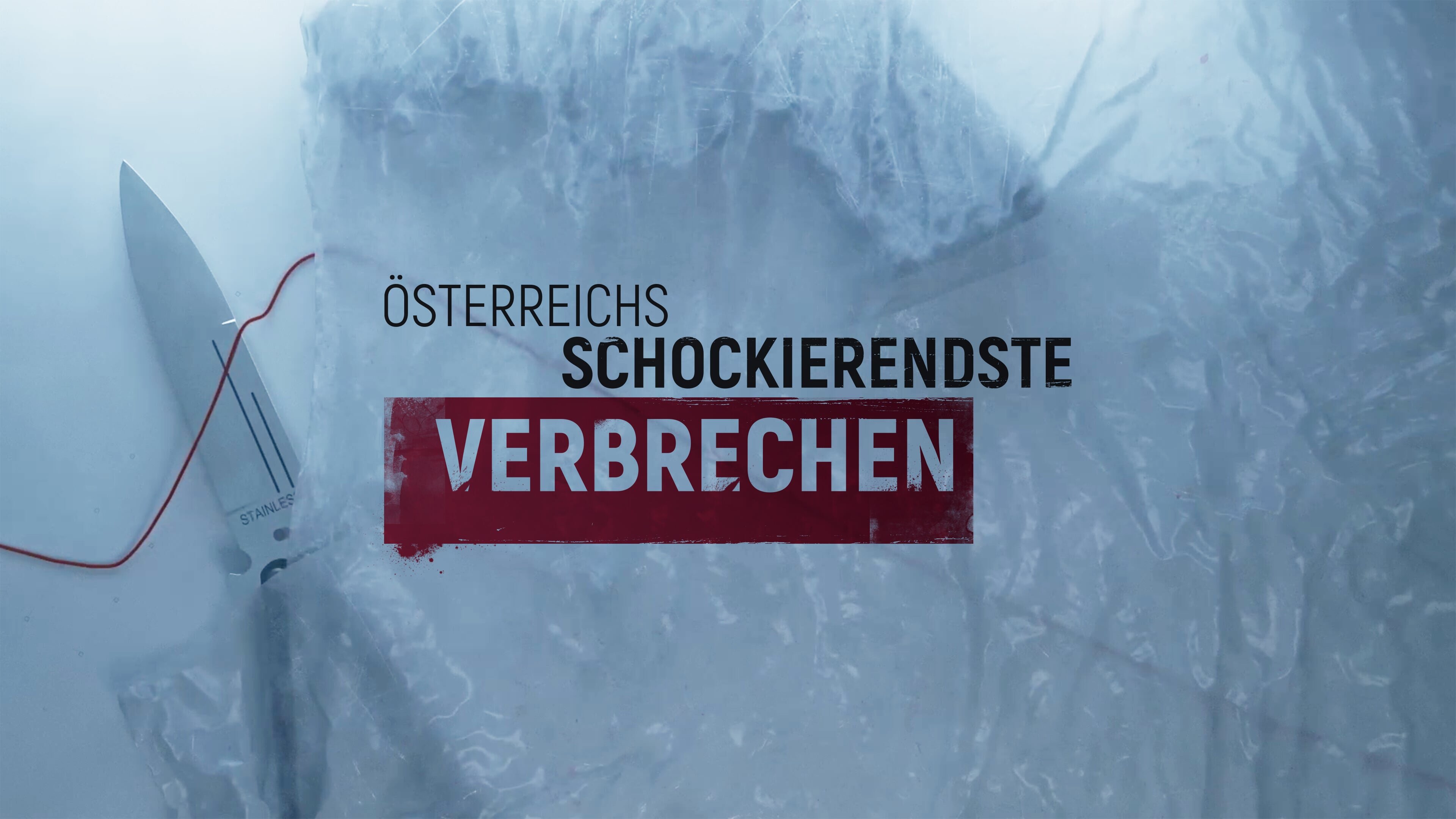 Österreichs schockierendste Verbrechen