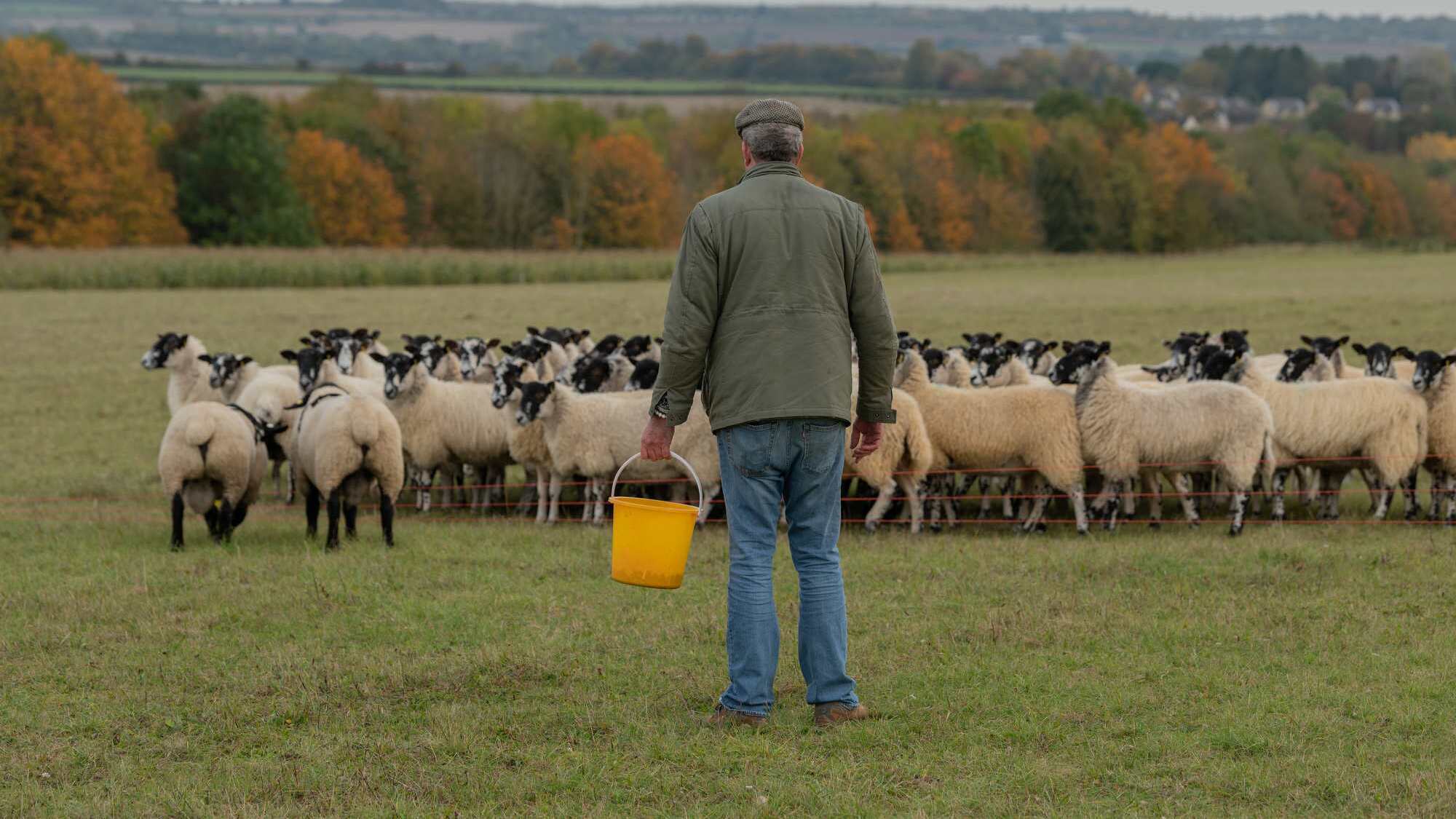 Clarkson's Farm