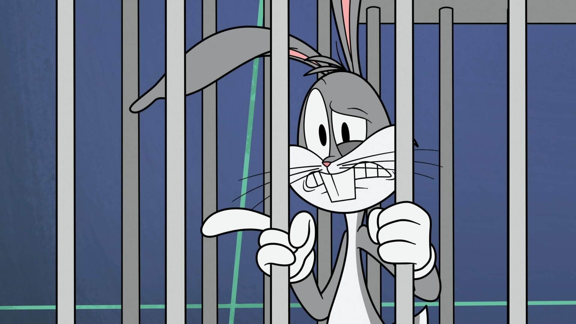 Die neue Looney Tunes Show