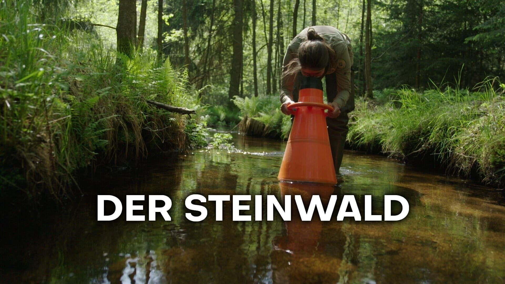 Der Steinwald