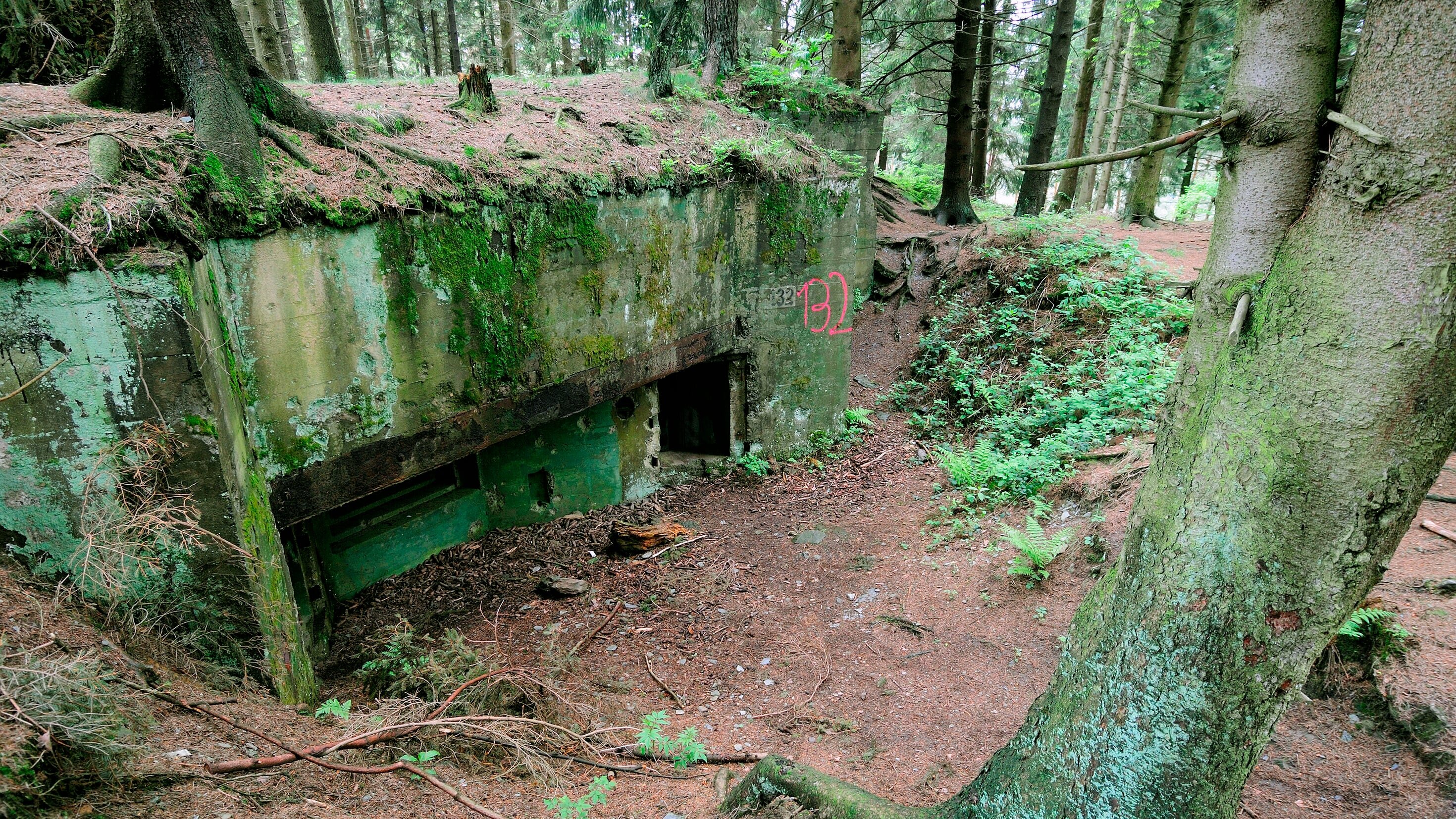 Die Schlacht im Hürtgenwald